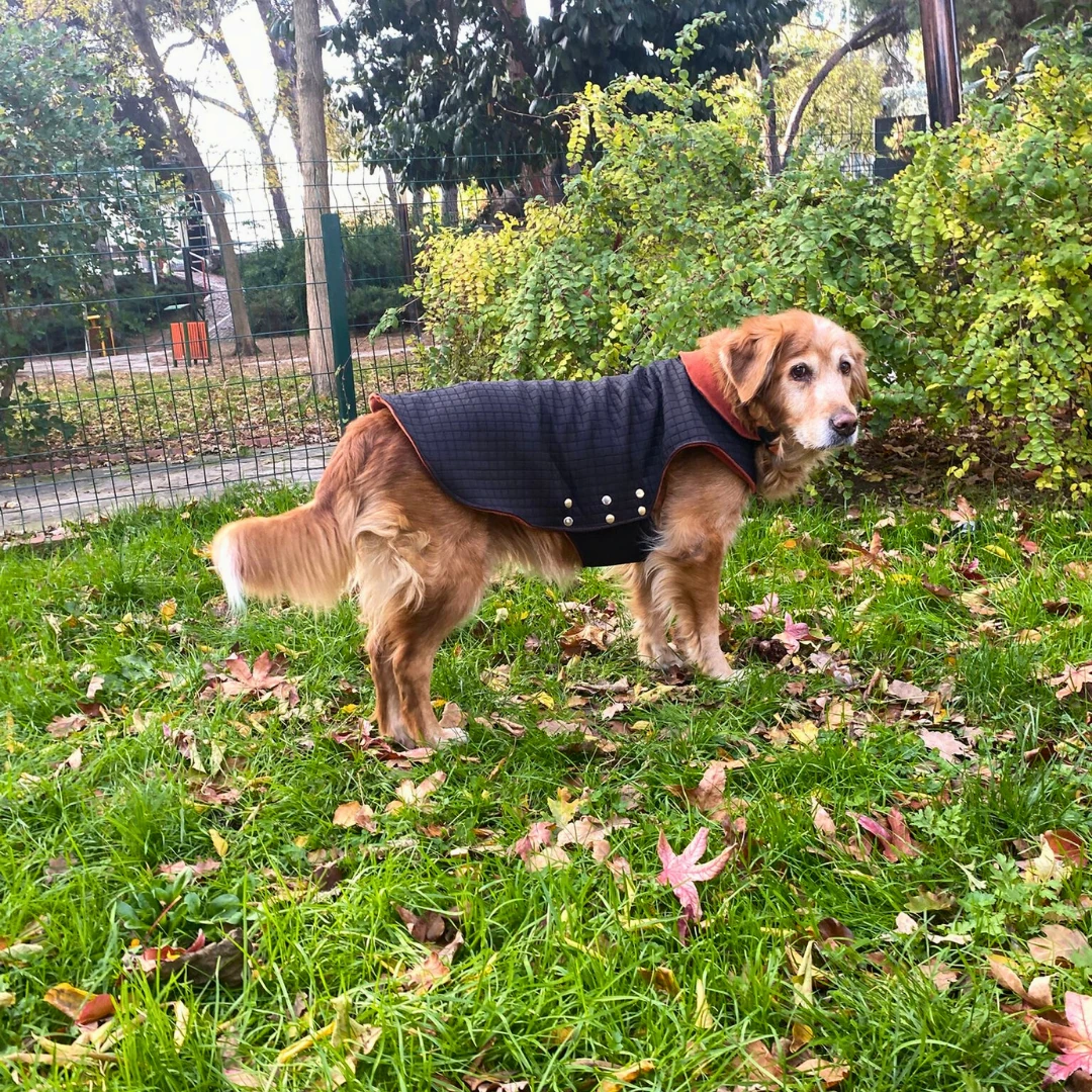 Kapitone Siyah - Köpek Ceketi