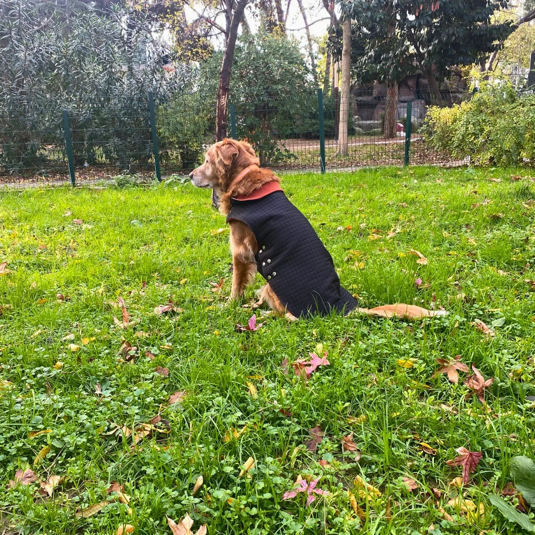 Kapitone Siyah - Köpek Ceketi