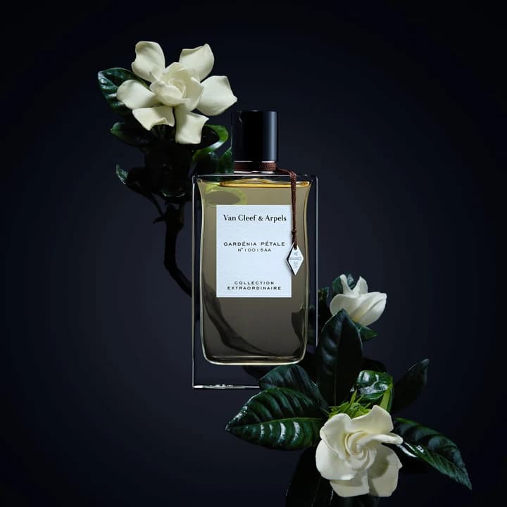 Gardenia Petale EDP 75 ml Parfüm - Van Cleef & Arpels