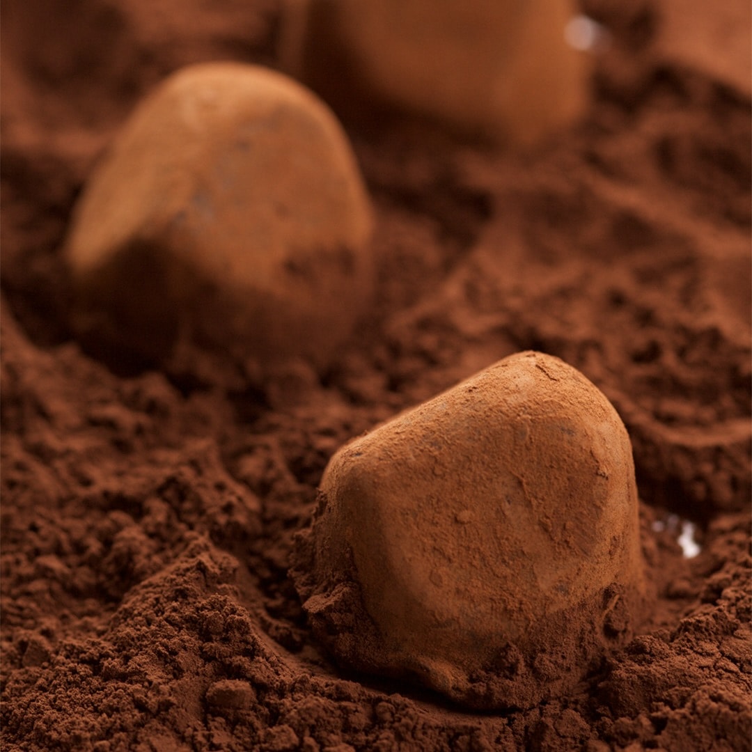 Gourmet Collection Truffle Fancy Toz Kakao Kaplı Trüf Çikolata 180g Glutensiz