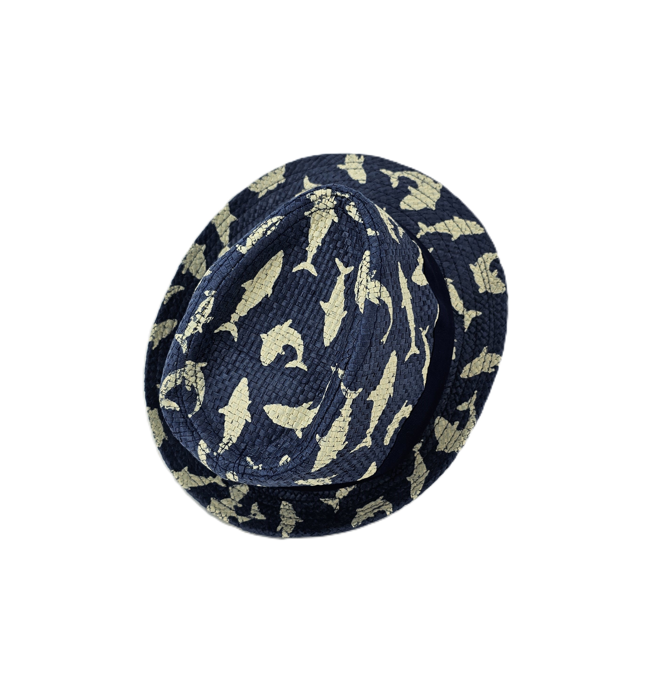 Kapele Plazhi Femijesh Kashte Ngjyre Blu e  Erret me Dizajn Peshk S.Hand/Beach Hat
