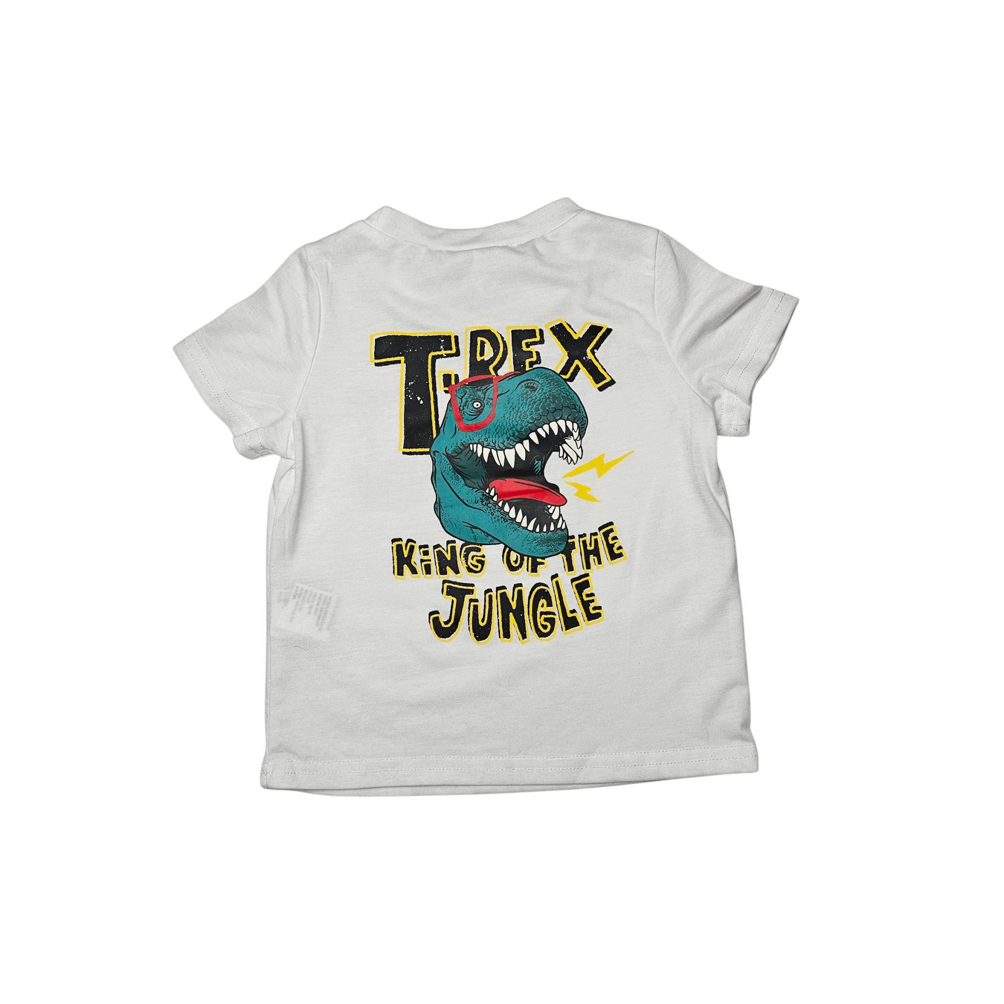 Bluze Femijesh Ngjyre e Bardhe me Dinosaur Outlet T-Shirt