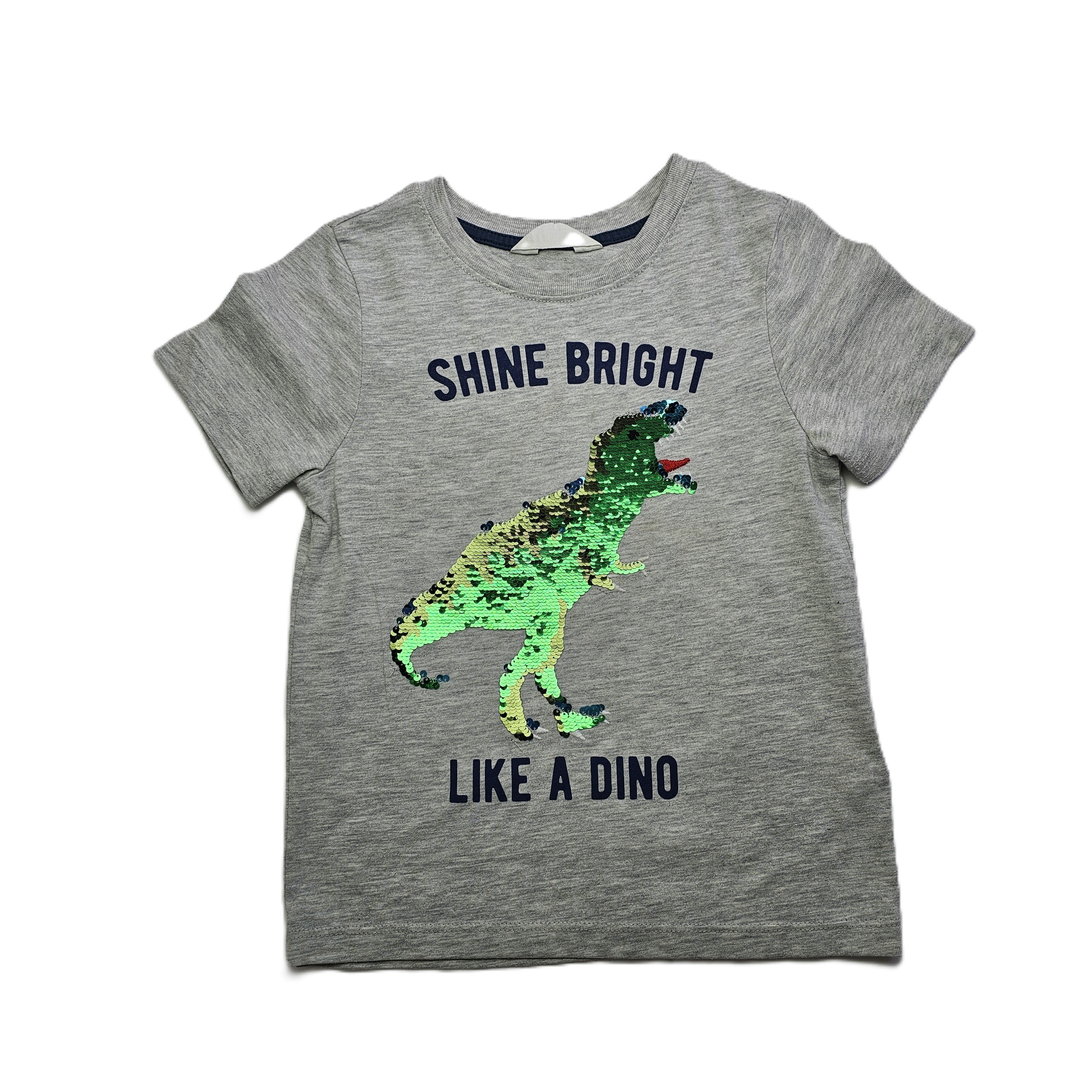 Bluze Femijesh H&M Ngjyre Gri me Dinozaur S.Hand