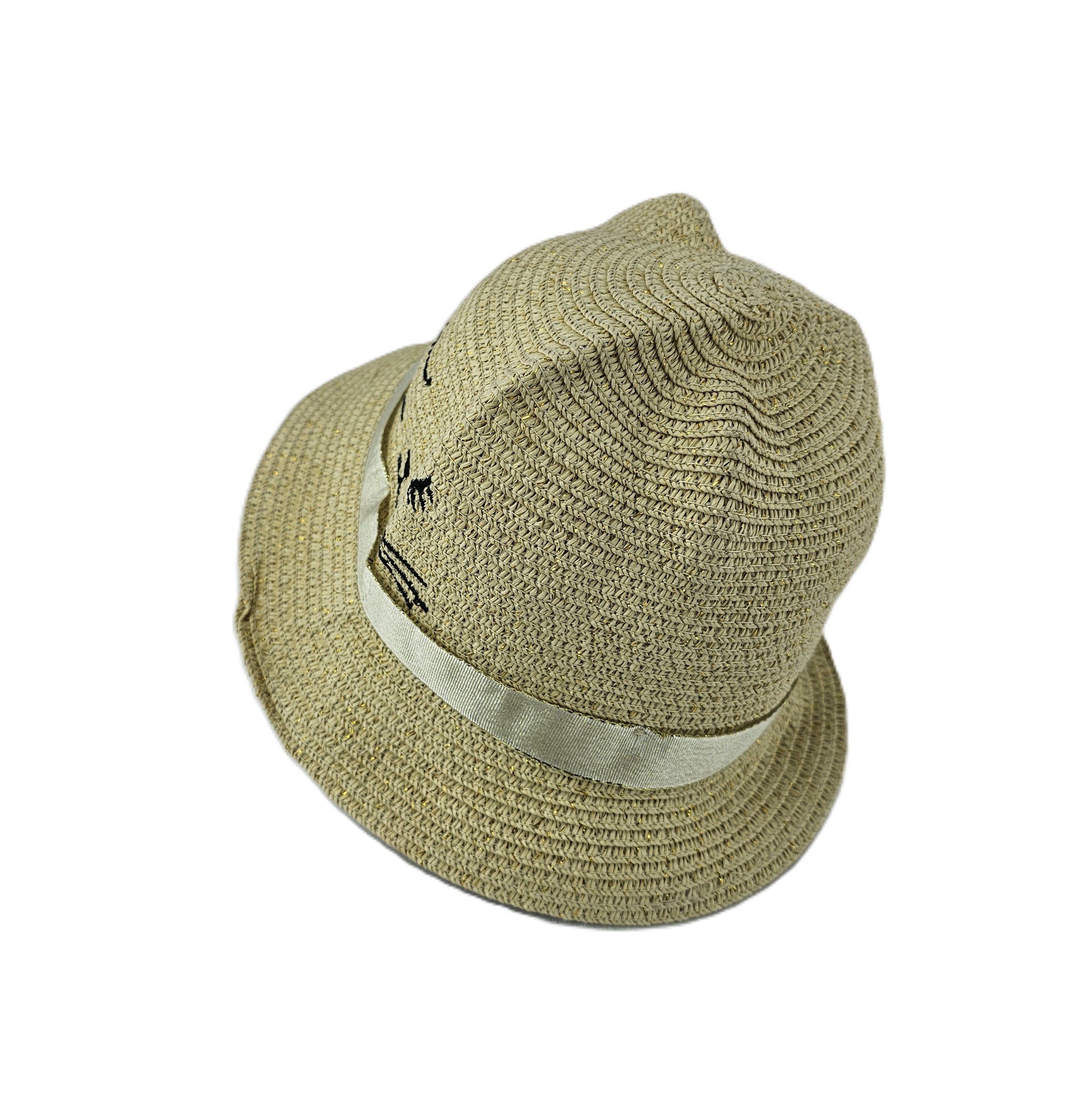 Kapele Plazhi Femijesh Kashte me Dizajn Mace S.Hand/Beach Hat