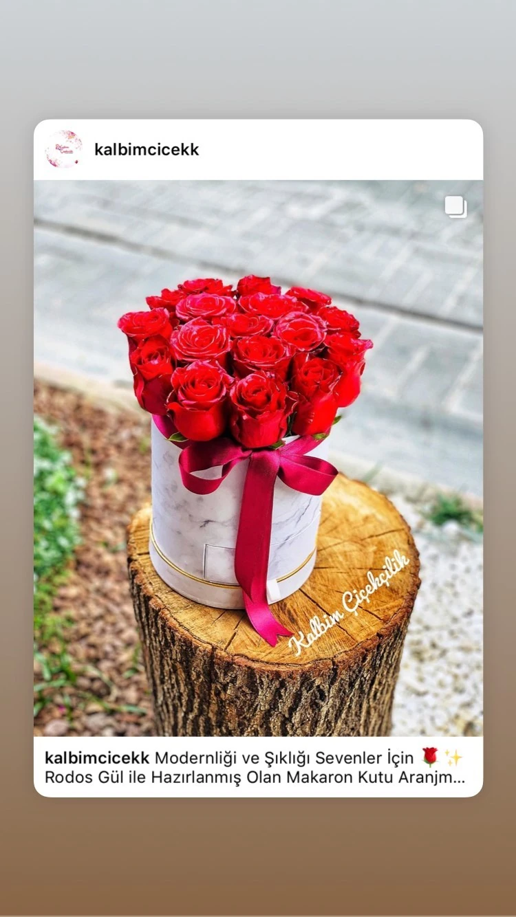 Canlı Kırmızı Gül Kutu Kutusu