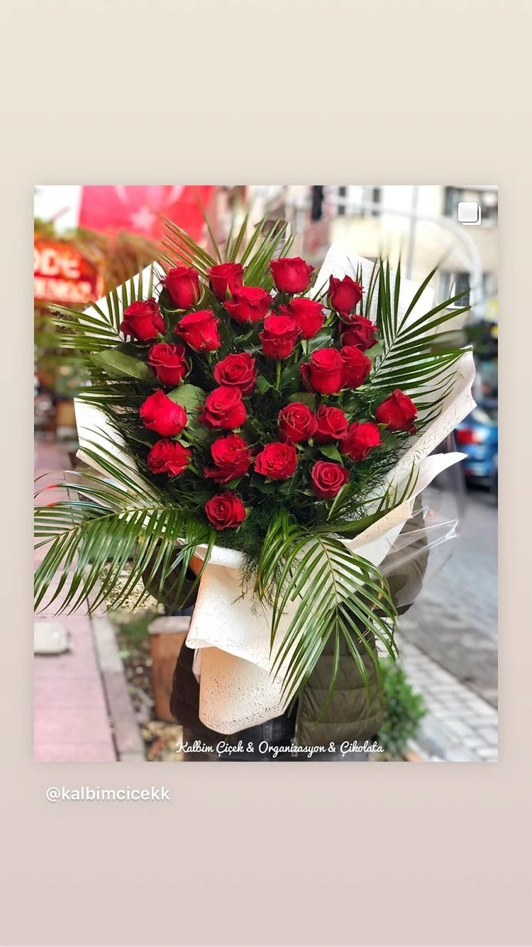 27 Adet Canlı Kırmızı Gül Kız İsteme Buketi