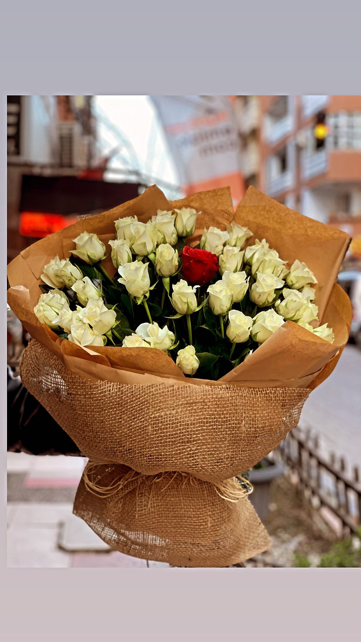 41 Adet Canlı Beyaz Gül Kız İsteme Buketi