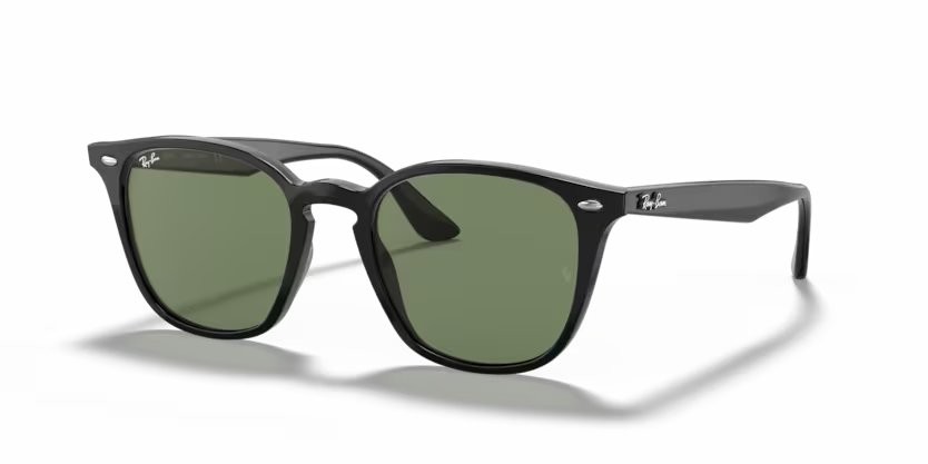 Ray-Ban 4258 50 Ekartman Unisex Güneş Gözlüğü