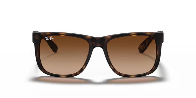 Ray-Ban 4165 Unisex Güneş Gözlüğü