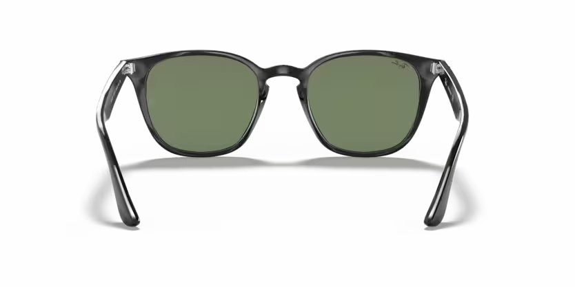 Ray-Ban 4258 50 Ekartman Unisex Güneş Gözlüğü