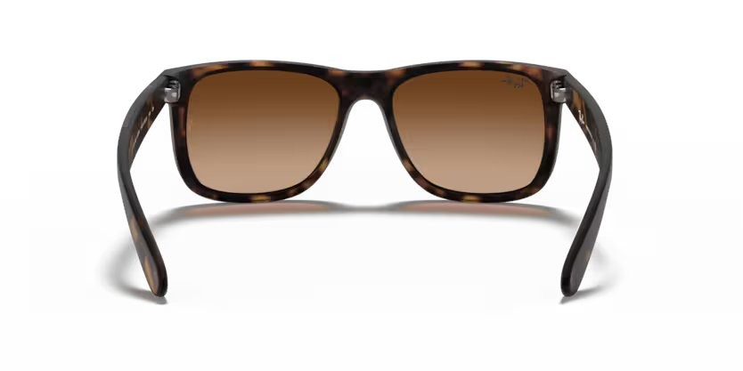 Ray-Ban 4165 Unisex Güneş Gözlüğü