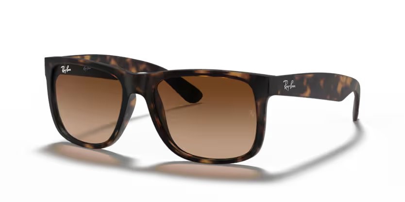 Ray-Ban 4165 Unisex Güneş Gözlüğü - Leoparlı Kahverengi