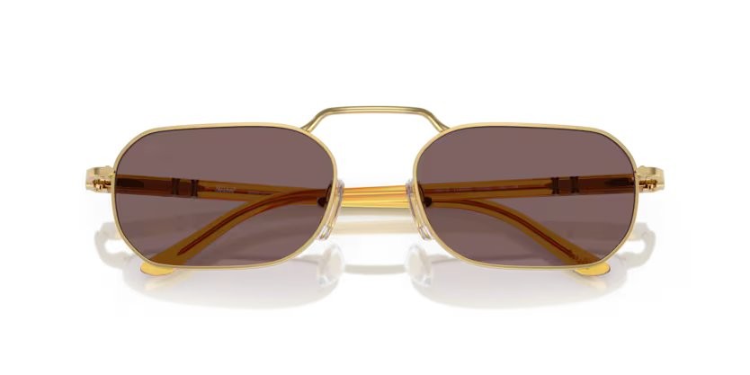 Persol 1020S Erkek Güneş Gözlüğü