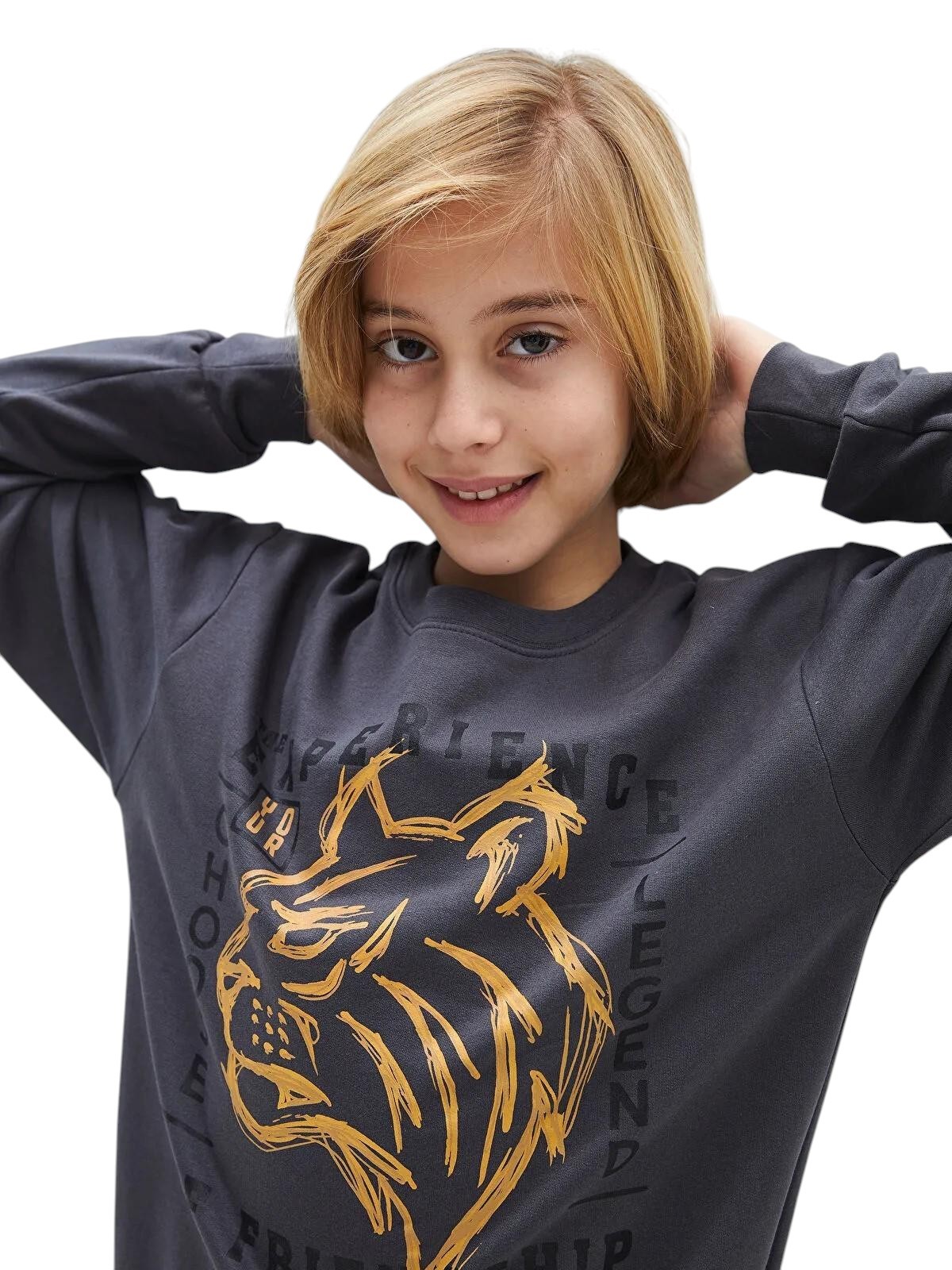 Aslan Desenli Erkek Çocuk Sweatshirt