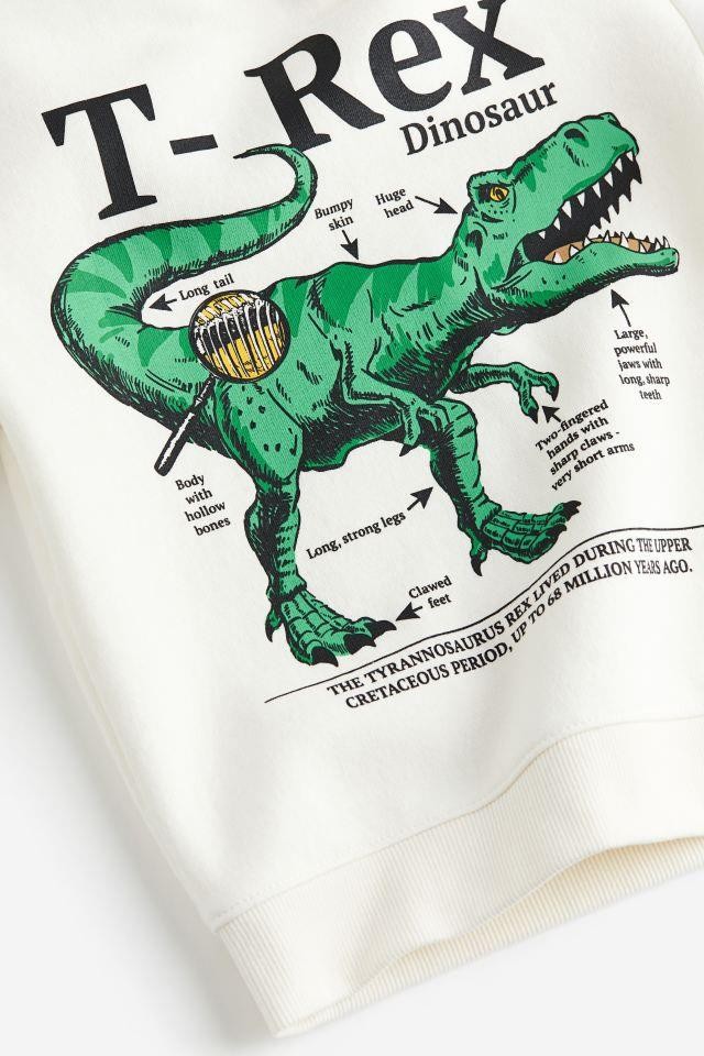 Trex Çocuk Sweatshirt