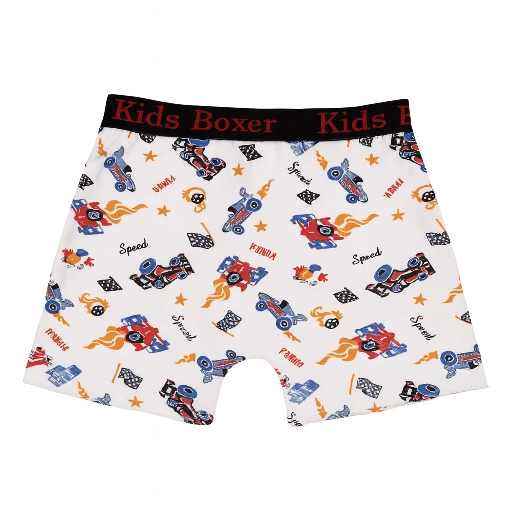 Desenli Erkek Çocuk Boxer - Sdf