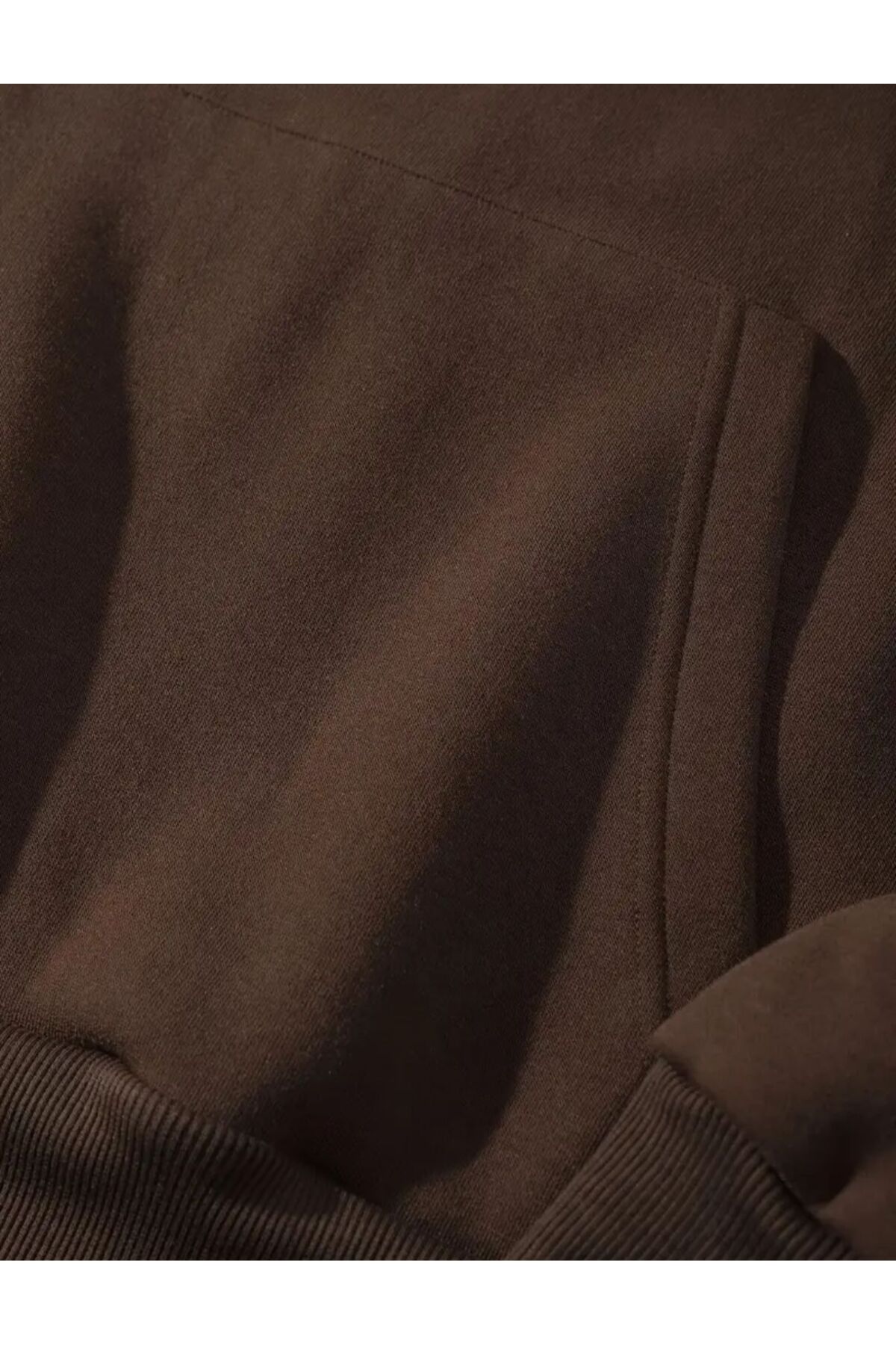 Arka Kurt Baskı Detaylı İçi Polarlı Kapüşonlu Sweatshirt