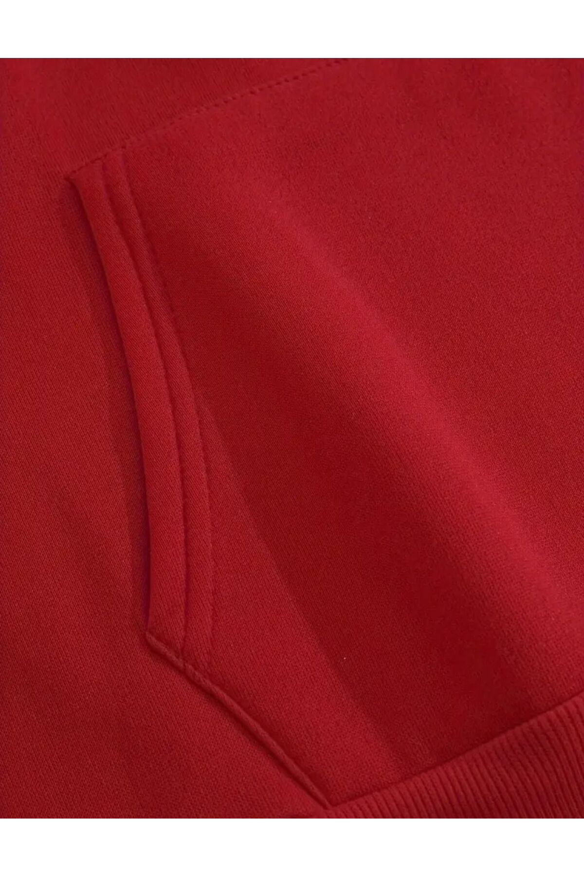 Arka Ayı Baskı Detaylı İçi Polarlı Kapüşonlu Sweatshirt