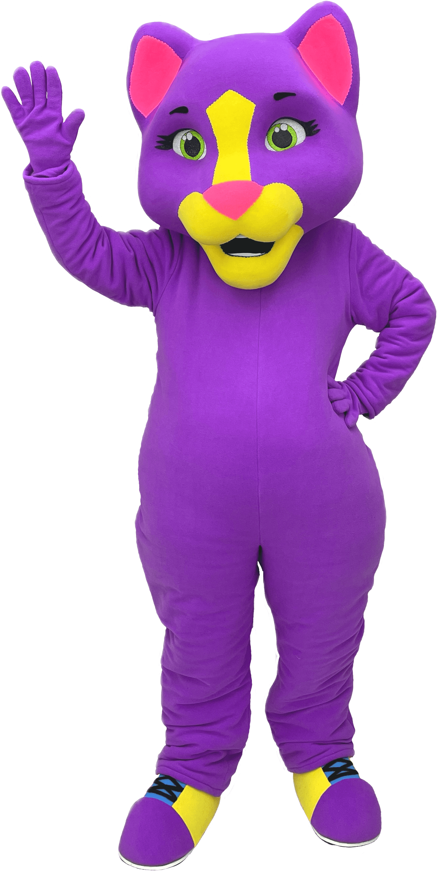 Cat Mascot Costume