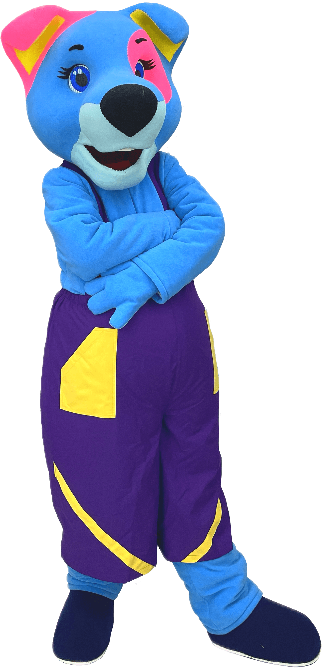 Dog Mascot Costume