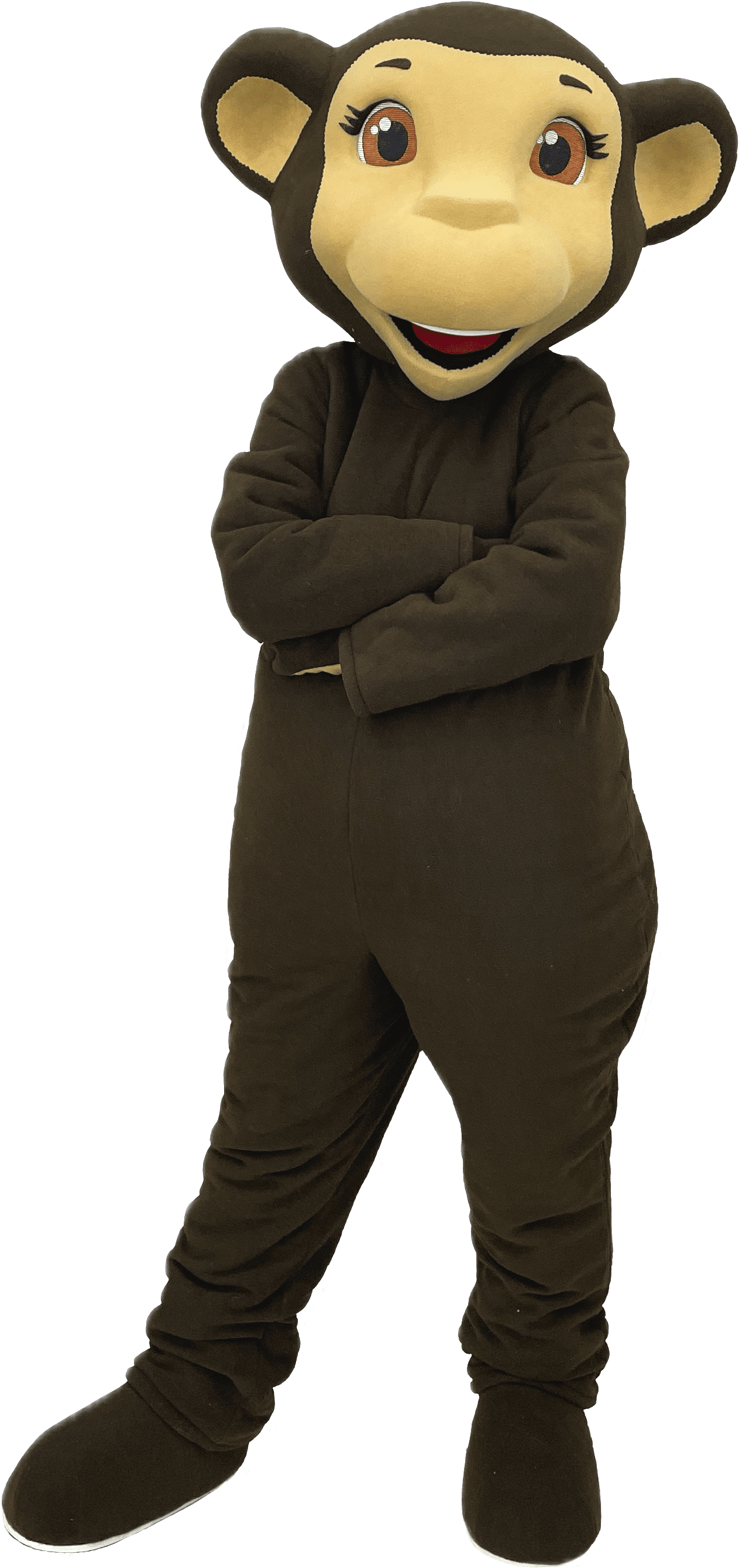 Monkey Mascot Costume