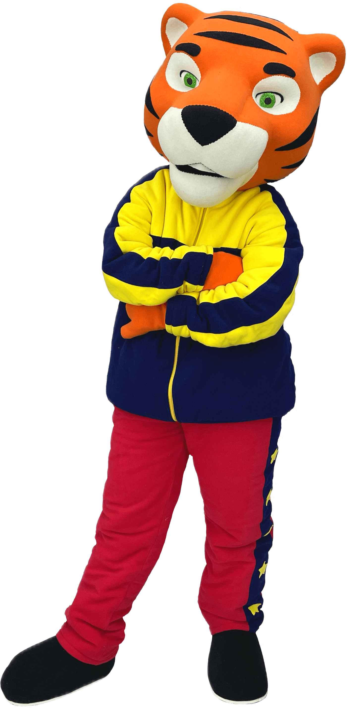 Tiger S Mascot Costume