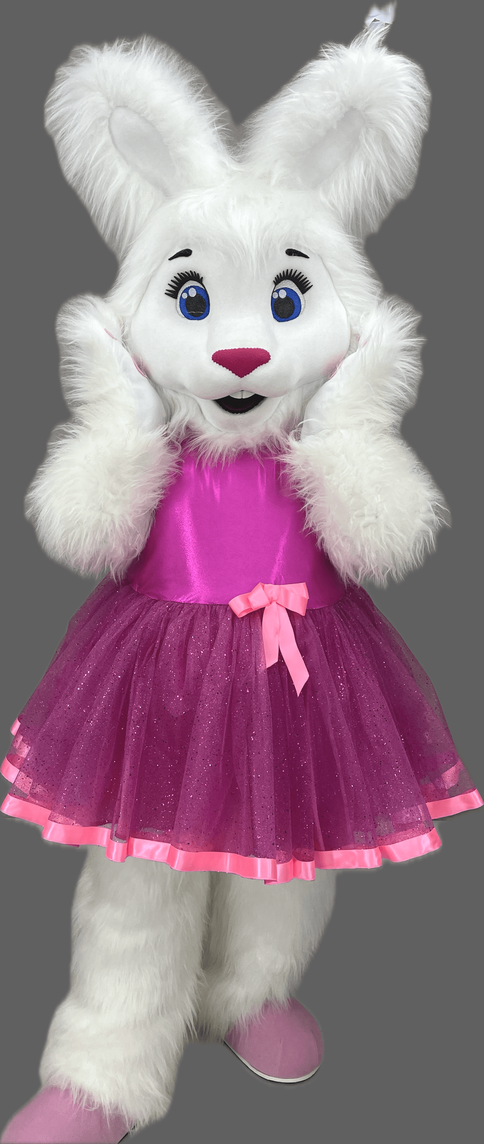 Rabbit Mascot Costume