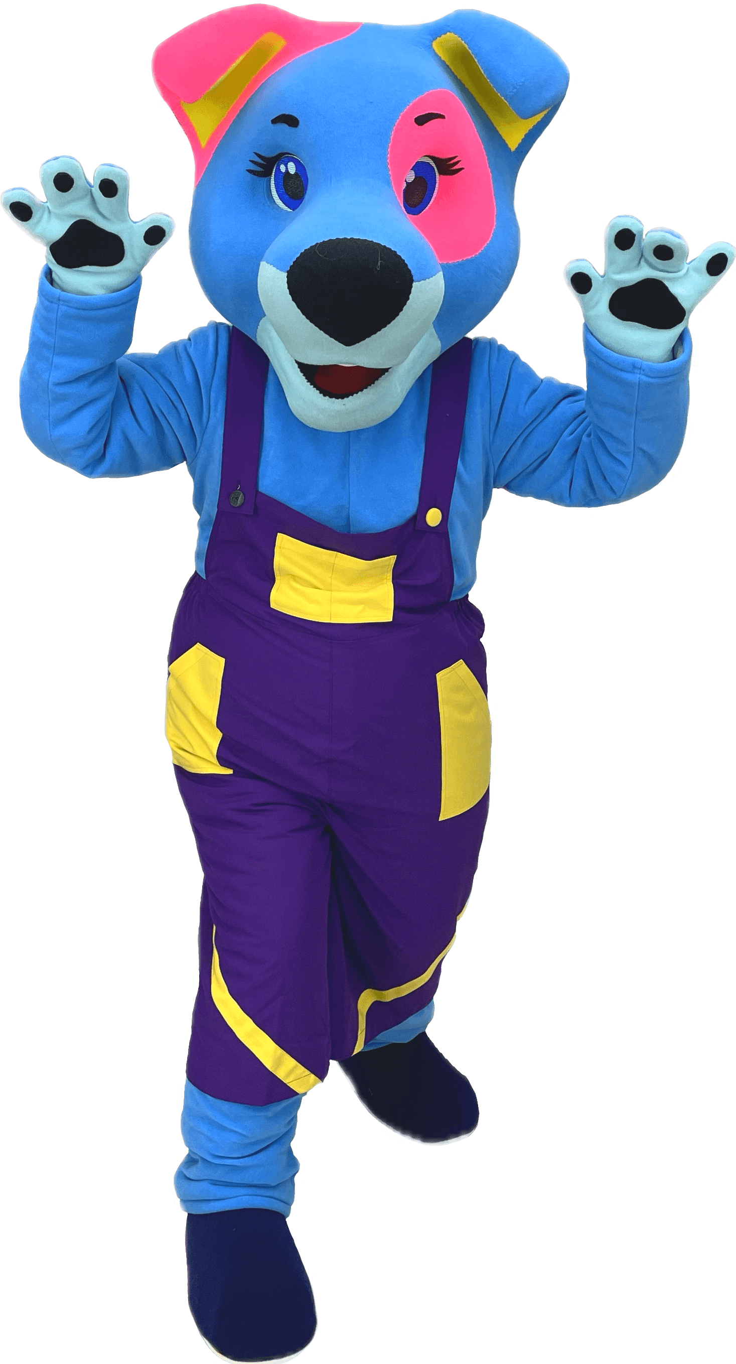 Dog Mascot Costume