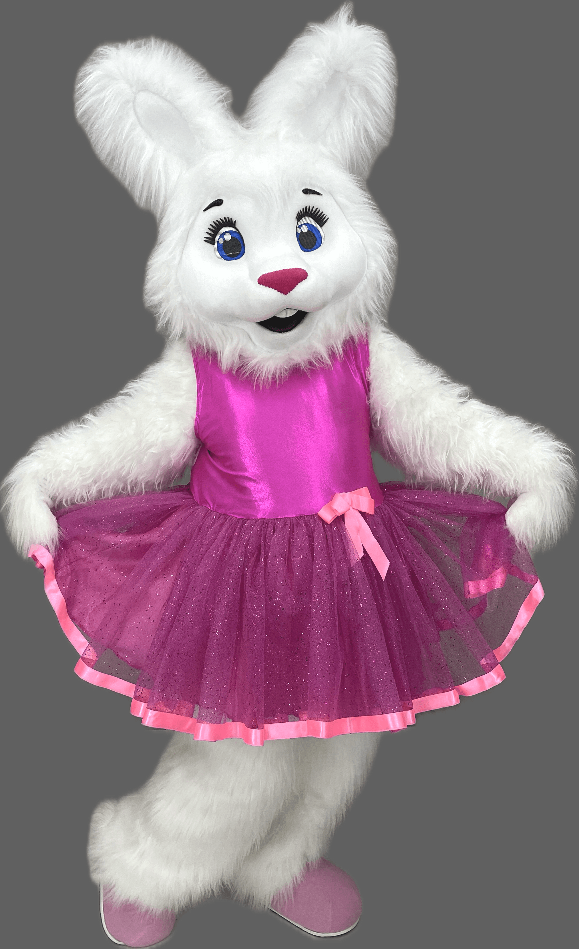 Rabbit Mascot Costume