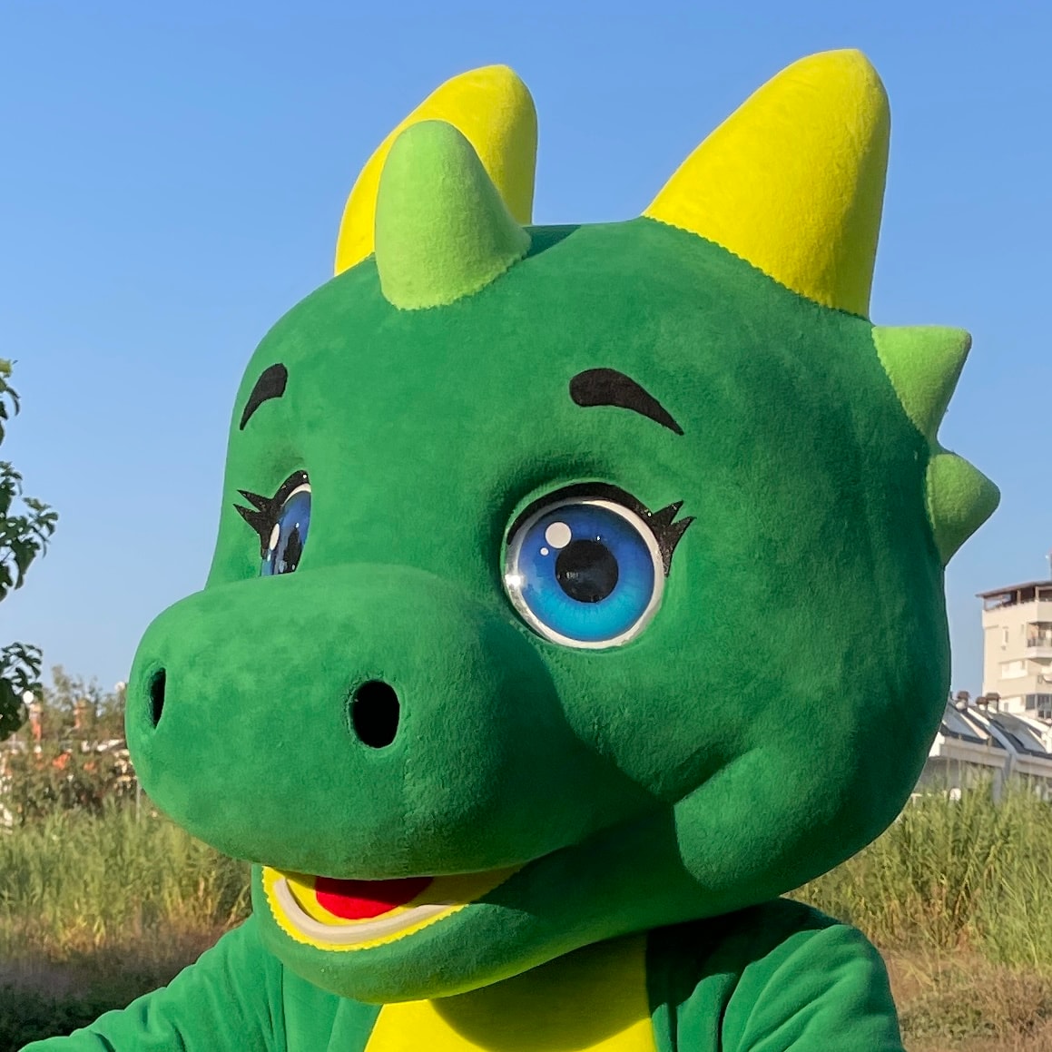 ejderha