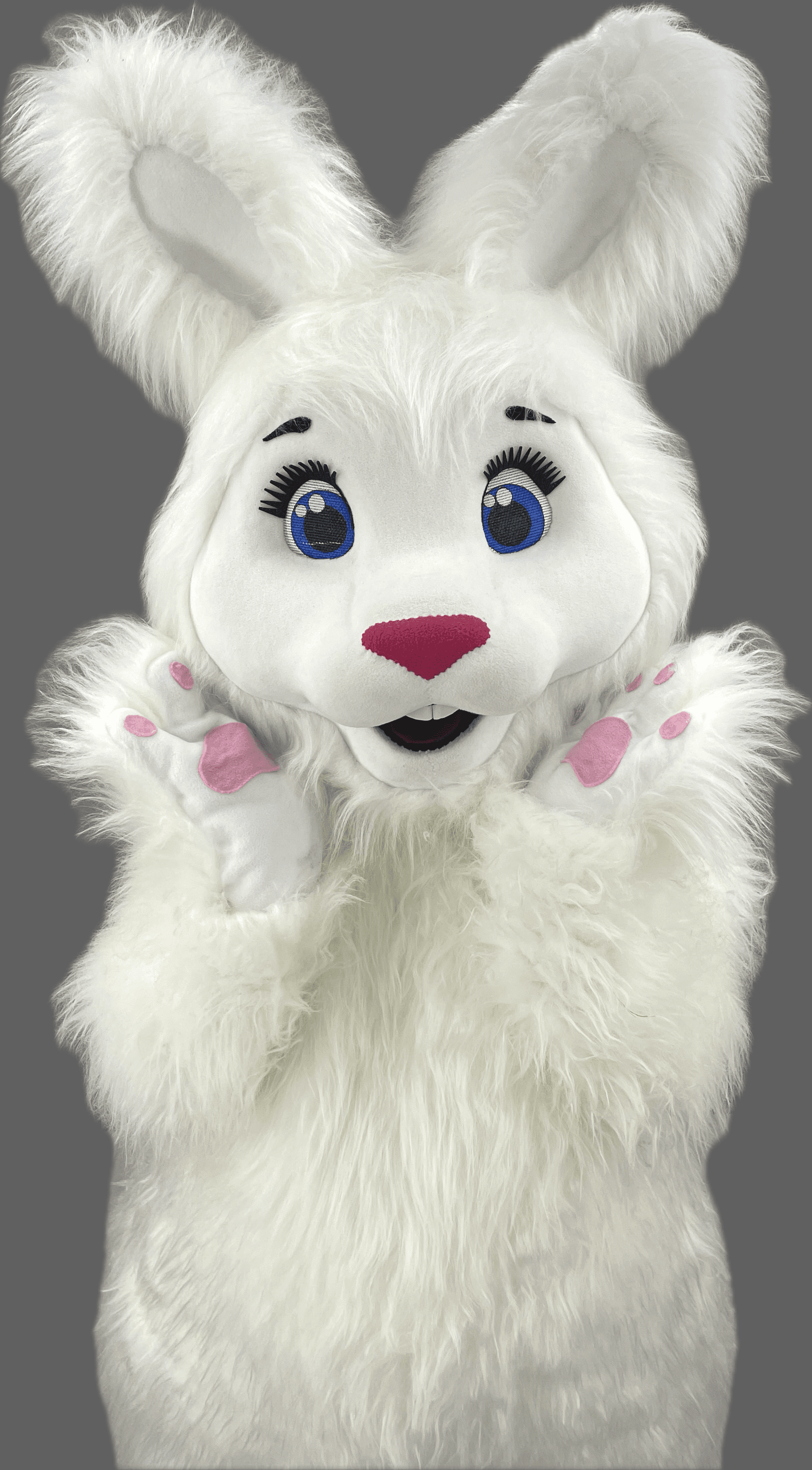 Rabbit Mascot Costume