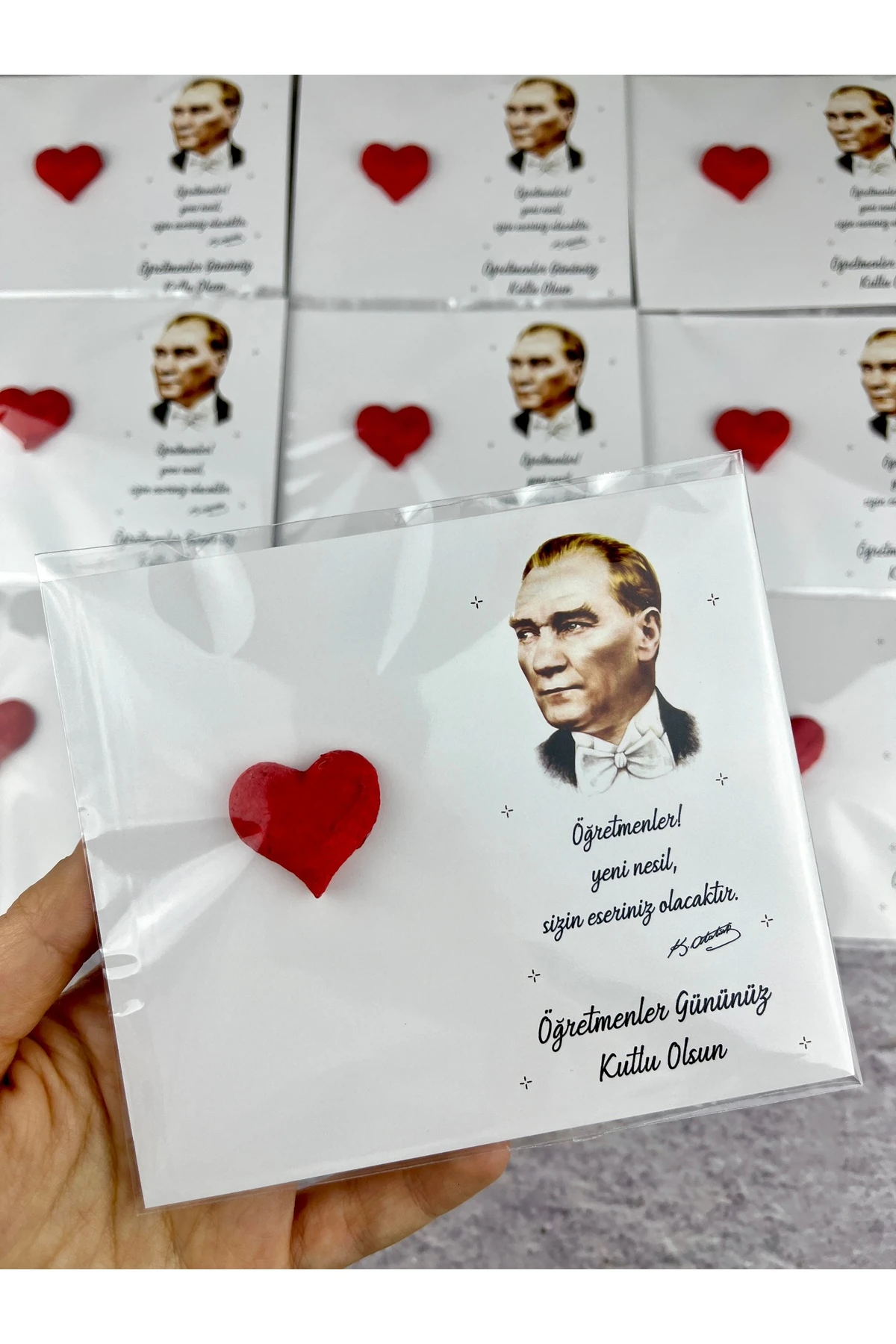 Öğretmenler Günü Hediyesi Tohum 1 Adet