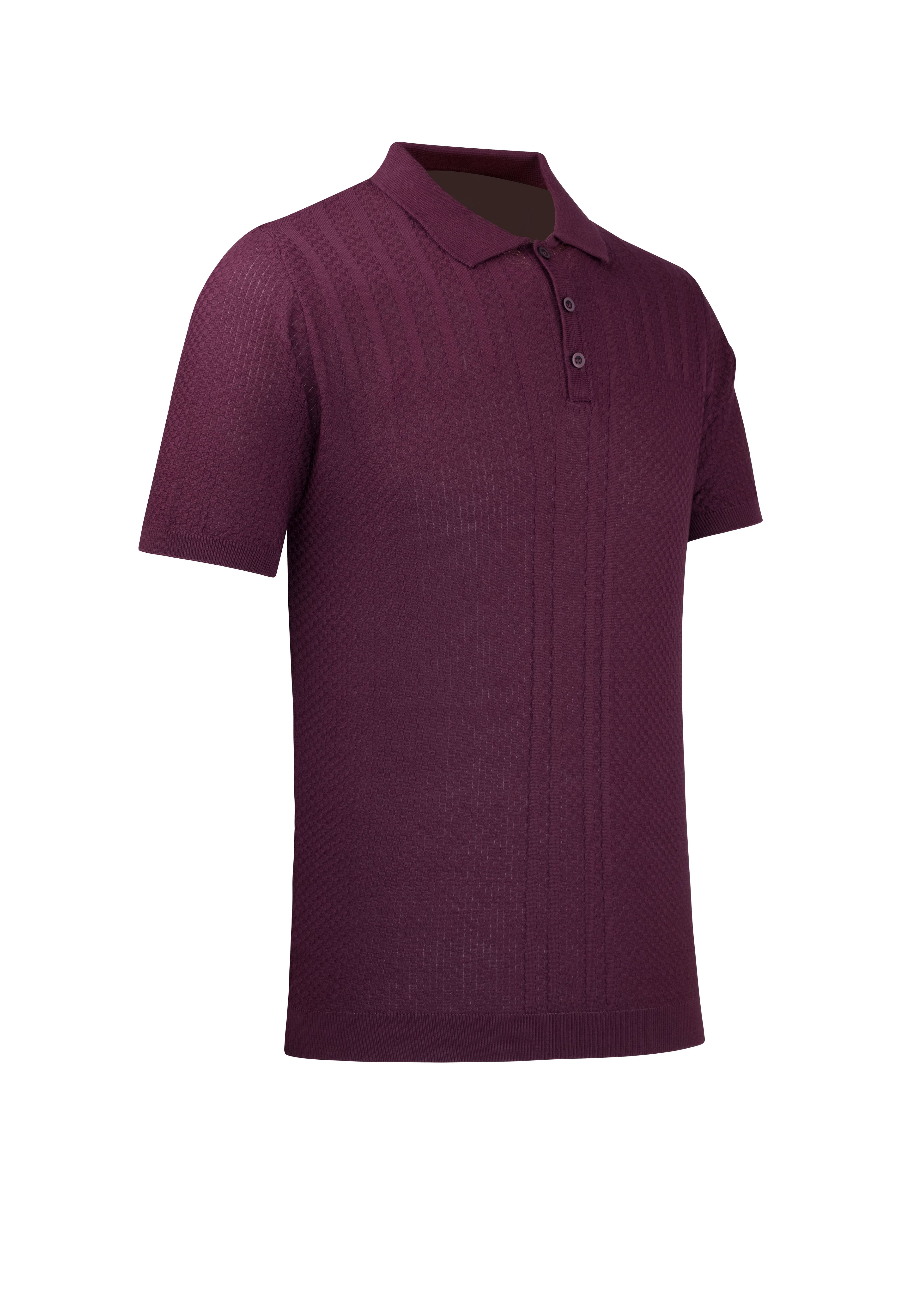 Men's Summer Knitwear T-Shirt Non-Roll Polo Collar Regular Fit - PURPLE