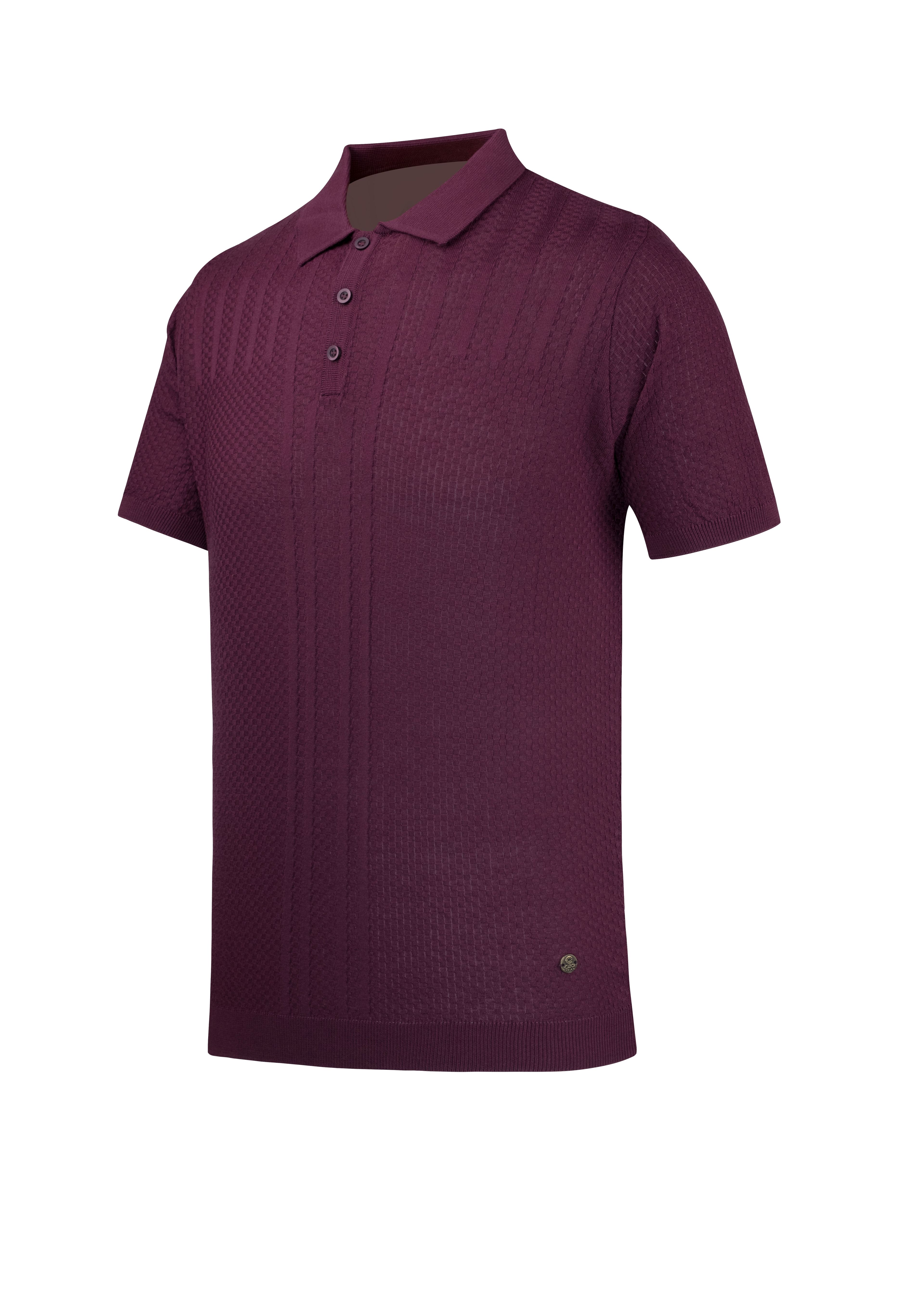 Men's Summer Knitwear T-Shirt Non-Roll Polo Collar Regular Fit - PURPLE