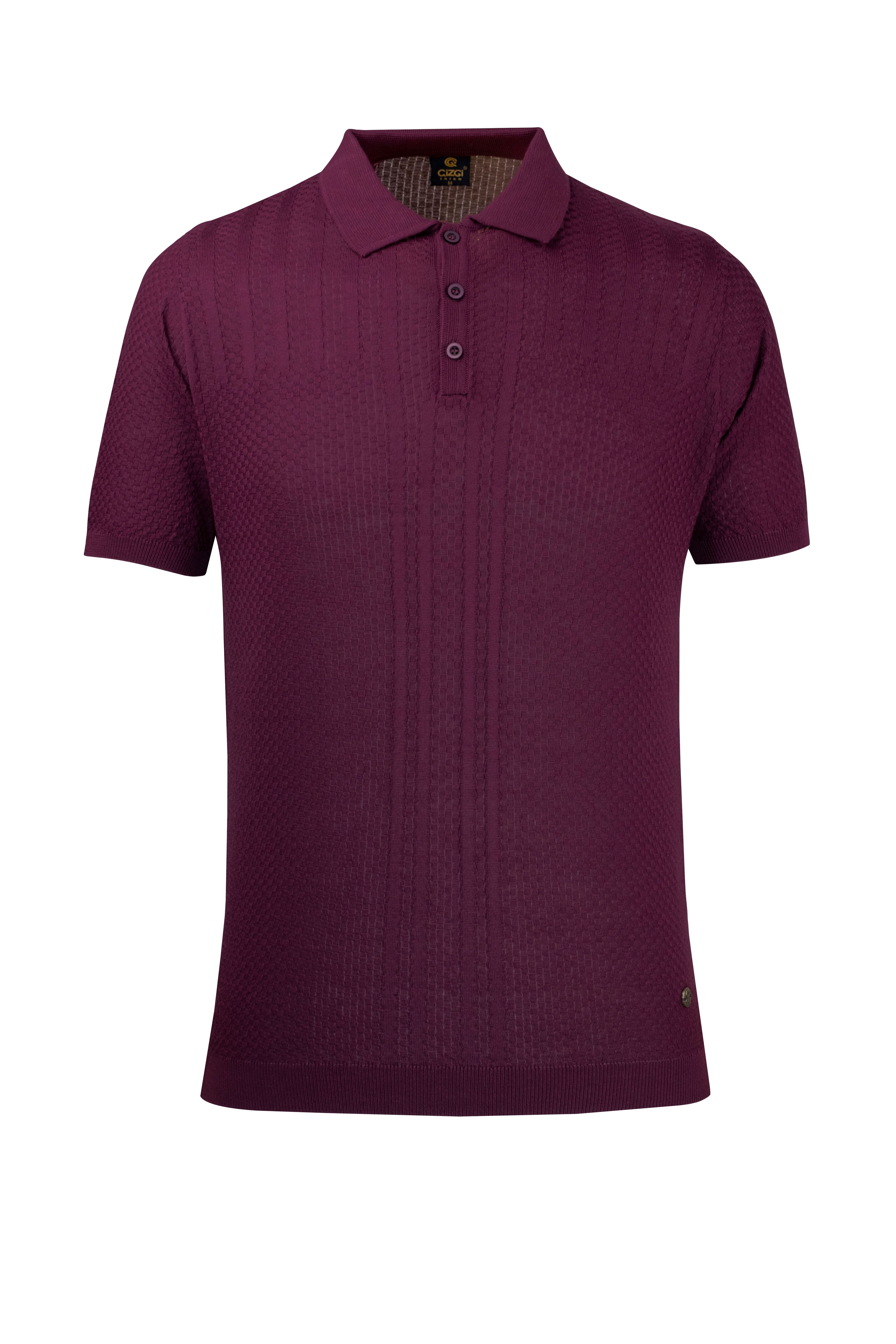 Men's Summer Knitwear T-Shirt Non-Roll Polo Collar Regular Fit - PURPLE