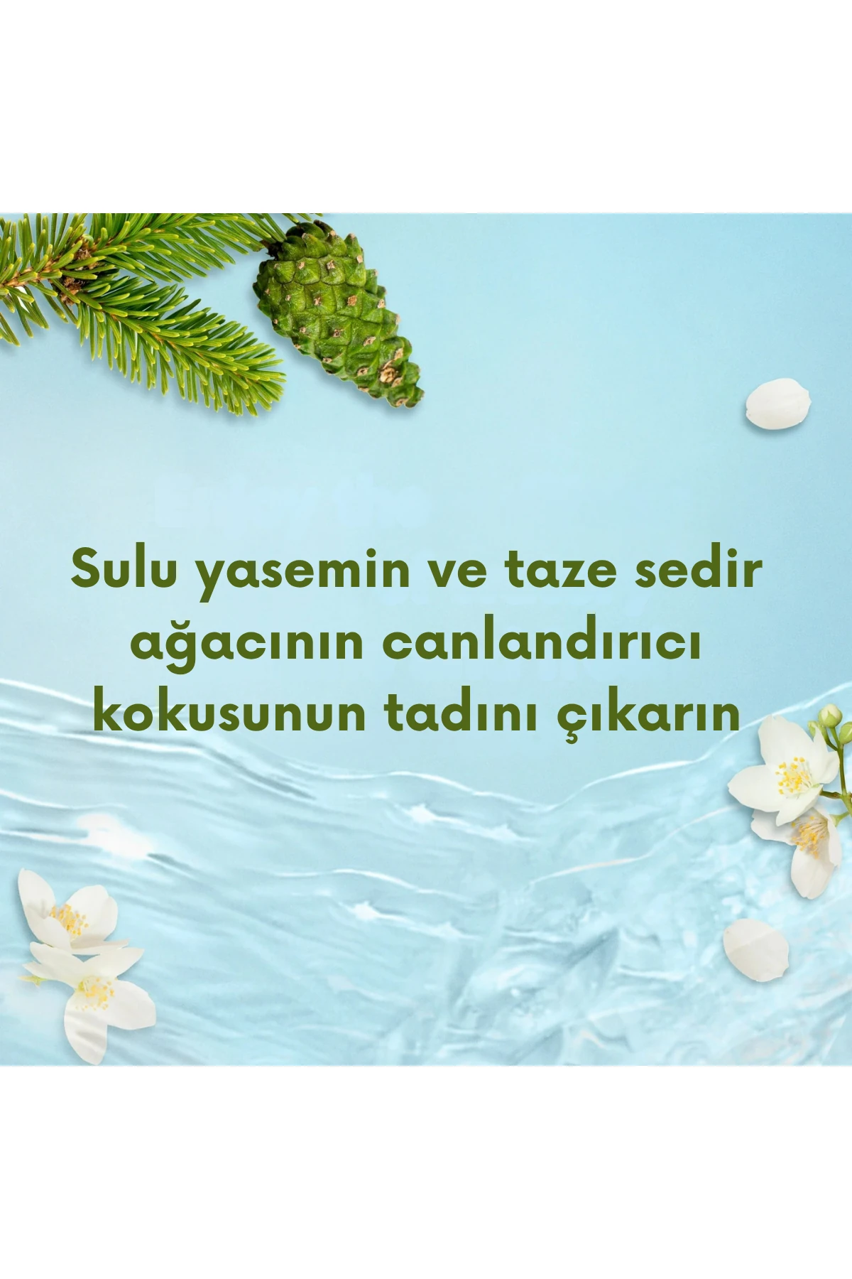 Suave Essentials Ocean Breeze (Okyanus Esintisi) Şampuan Family Size 887ml