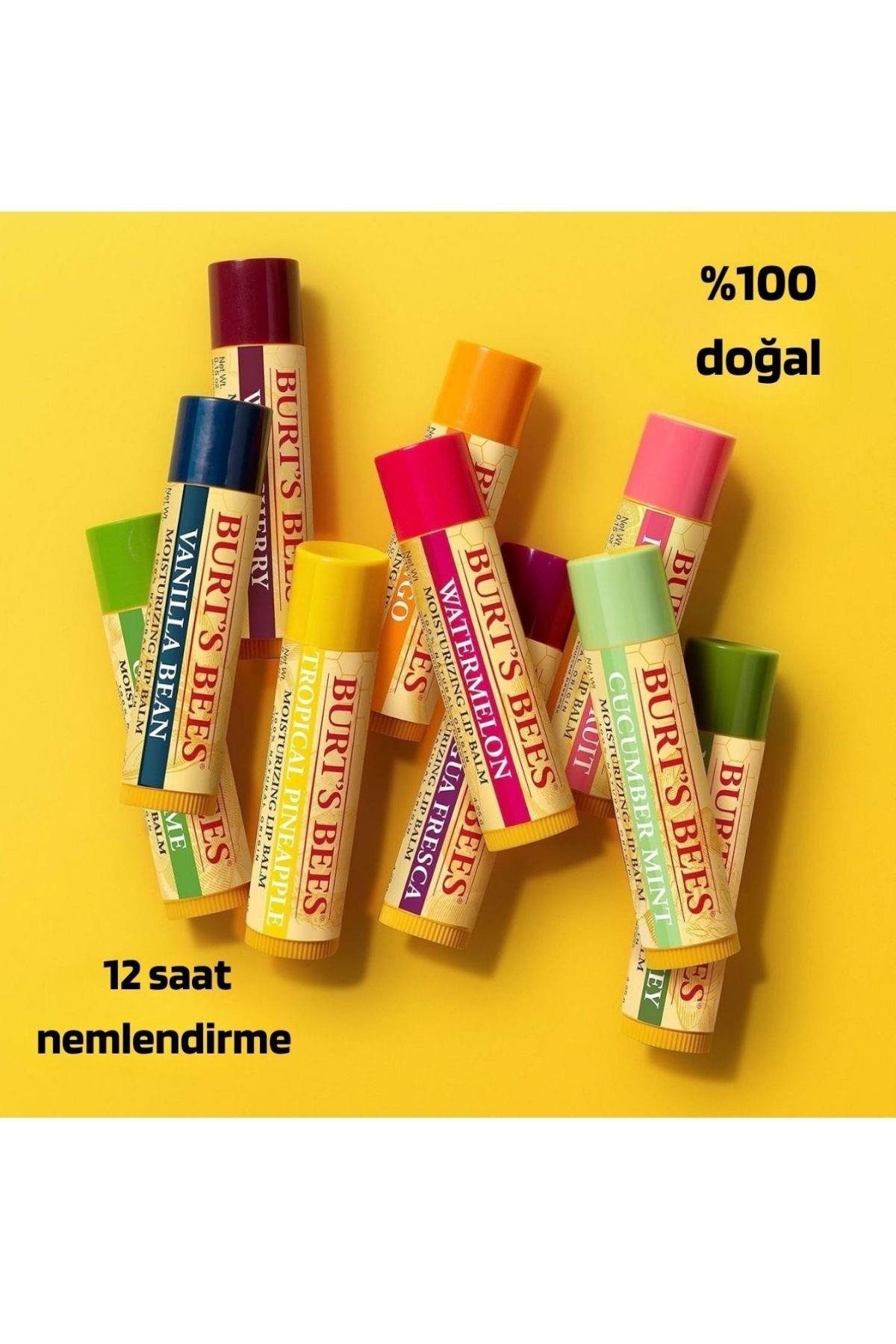 Burt's Bees Best Of (Balmumlu-Çilekli-Armut ve Hindistan Cevizli-Vanilyalı) 4'lü Dudak Balmı 0.15 oz 4.25 gr