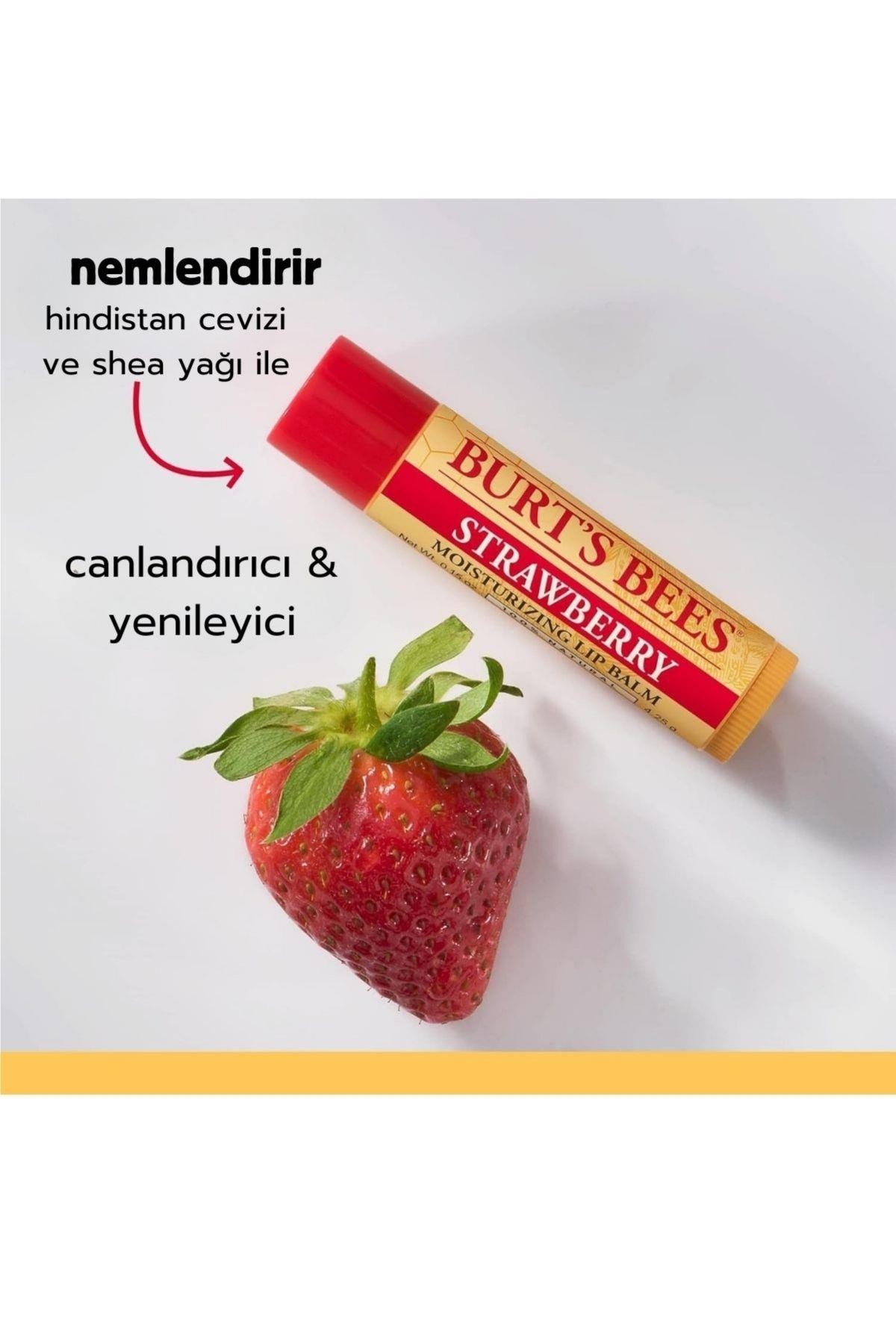 Burt's Bees Best Of (Balmumlu-Çilekli-Armut ve Hindistan Cevizli-Vanilyalı) 4'lü Dudak Balmı 0.15 oz 4.25 gr