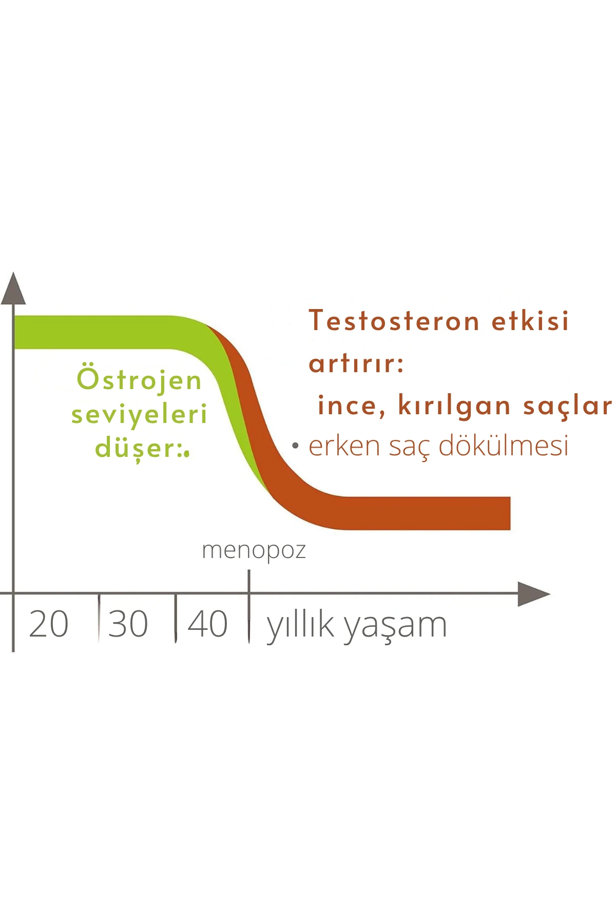 Plantur 39 Boyalı Yıpranmış Saçlar İçin (Provitamin B5) Fito-Kafein Şampuanı 250 ml