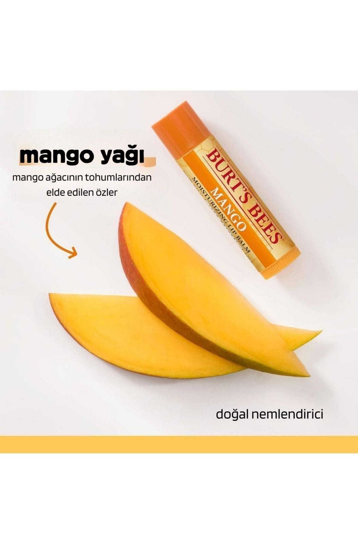 Burt's Bees Superfruit (Nar-Hindistan Cevizi ve Armut-Mango-Greyfurt) Dudak Balmı 0.15 oz 4.25Gr