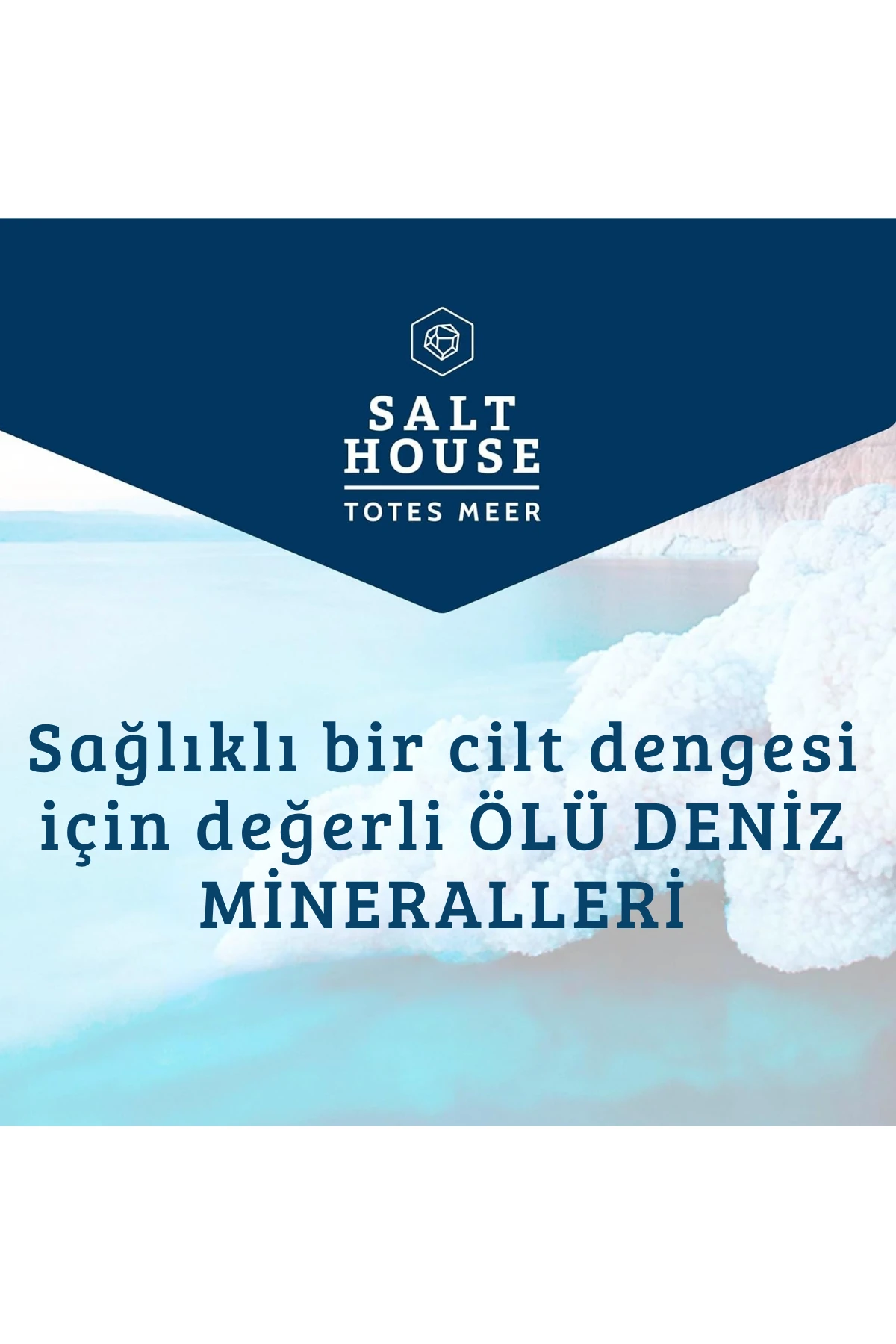 SALTHOUSE ANTI-FETT SHAMPOO (Ölü Deniz Terapisi Yağ Karşıtı Şampuan) 250ml