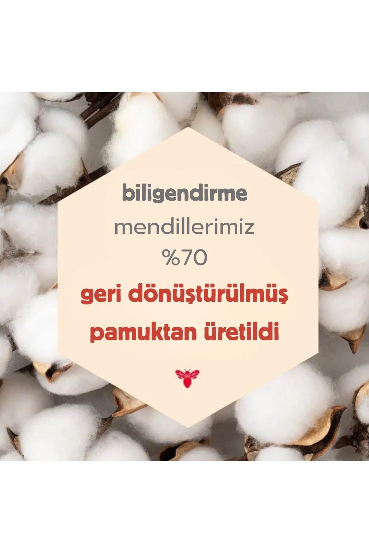 Burt's Bees Temizleme, Makyaj Çıkarıcı Havlular ( Gül Suyu) 30 Adet 144.5gr