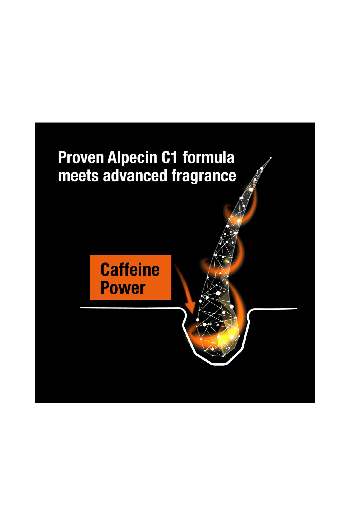 Alpecin Coffein C1 Black Edition (Saç Köklerini Güçlendirir ve Daha Sağlıklı Uzamayı Destekler) Şampuan 250ml