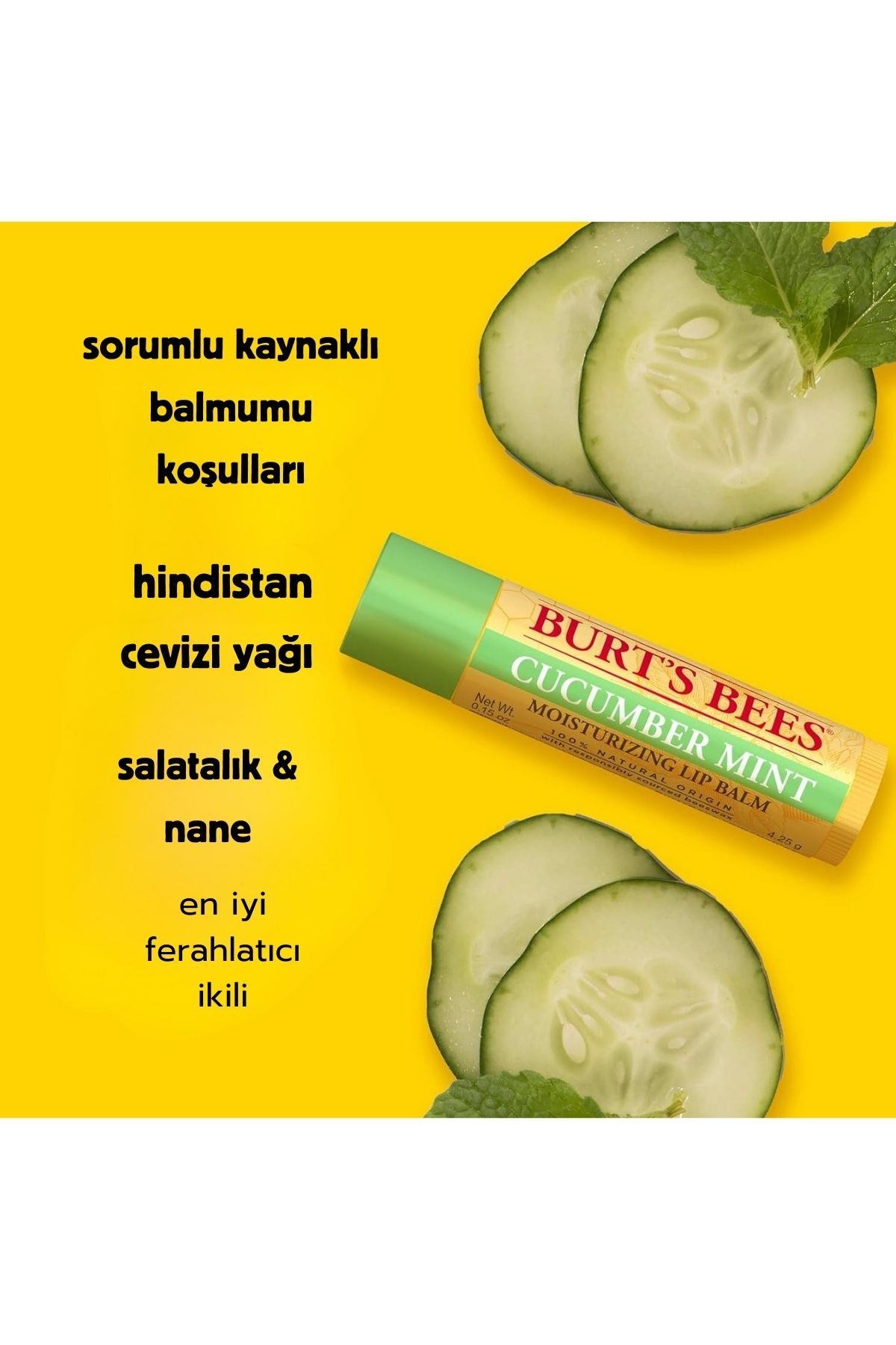 Burt's Bees Cucumber Mint Salatalık ve Nane Aromalı (Renklendiricisiz, Doğal Kökenli) Lip Balm 0.15 Oz 4.25 gr