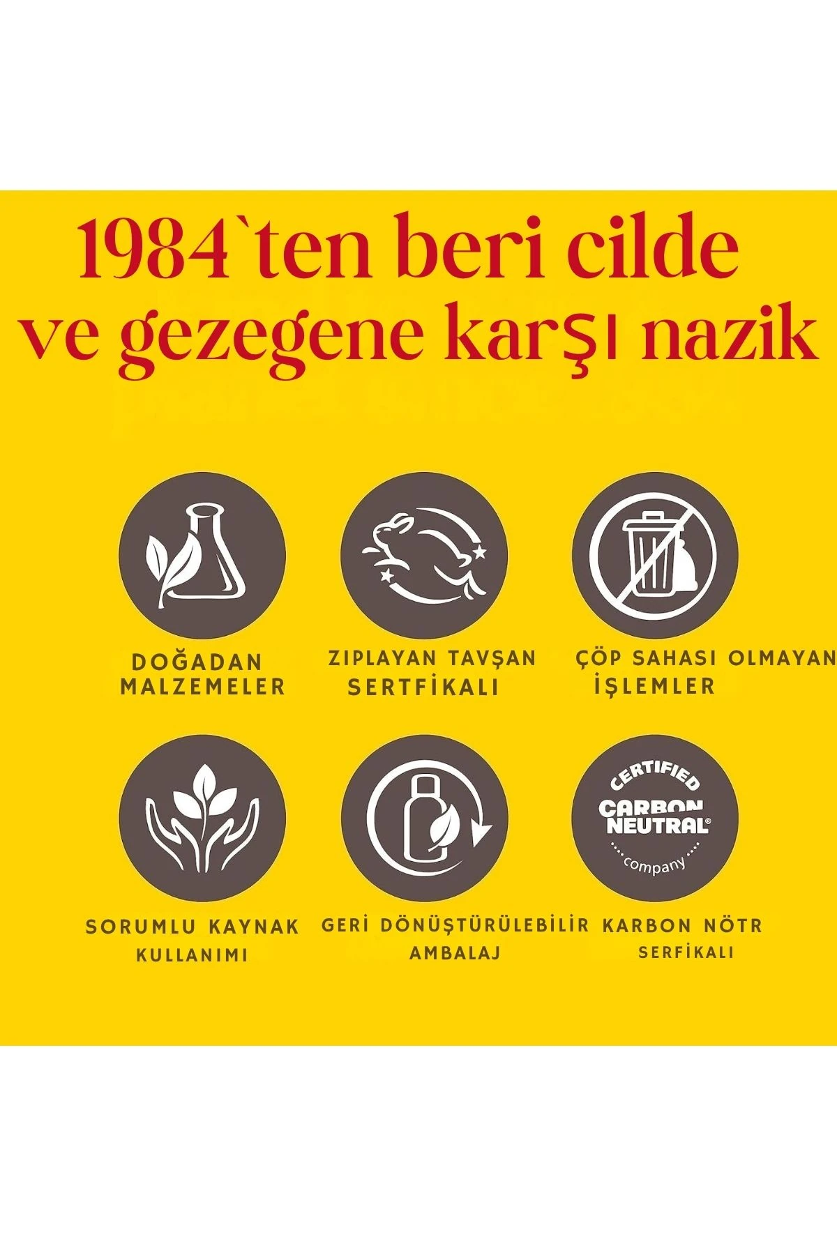 Burt's Bees Vanilla Bean (%100 Doğal) Dudak Balsamı 4.25g