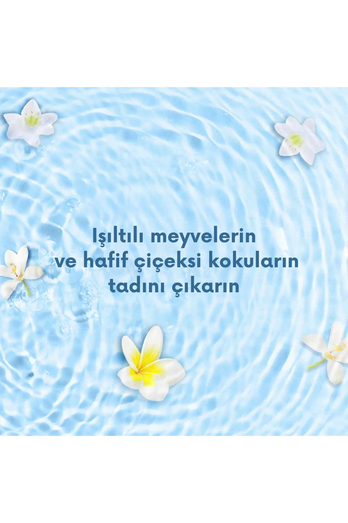 Suave Essentials Daily Clarifying (Günlük Arındırıcı) Şampuan Family Size 887ml