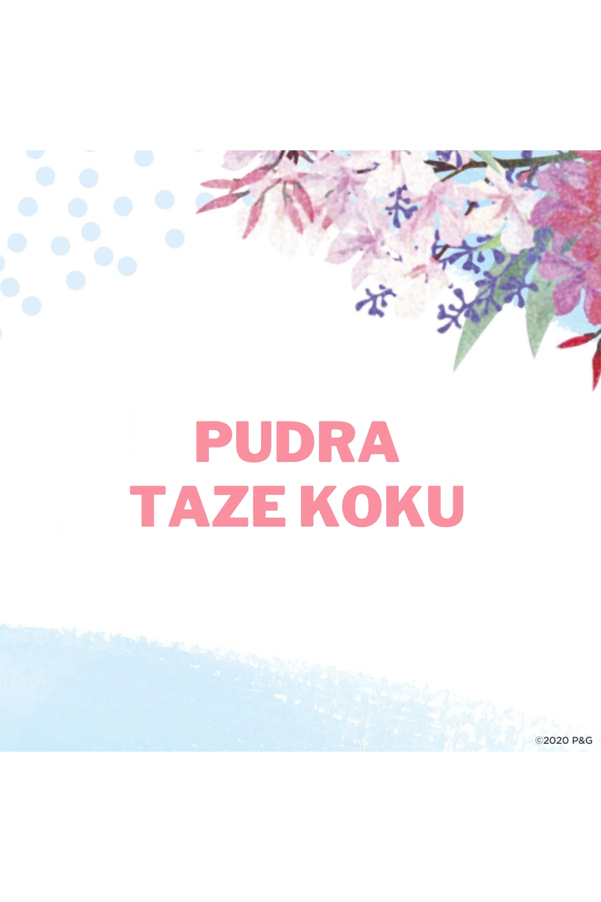 Secret Wide Katı Antiperspirant Deodorant (Pudra Taze) 76g