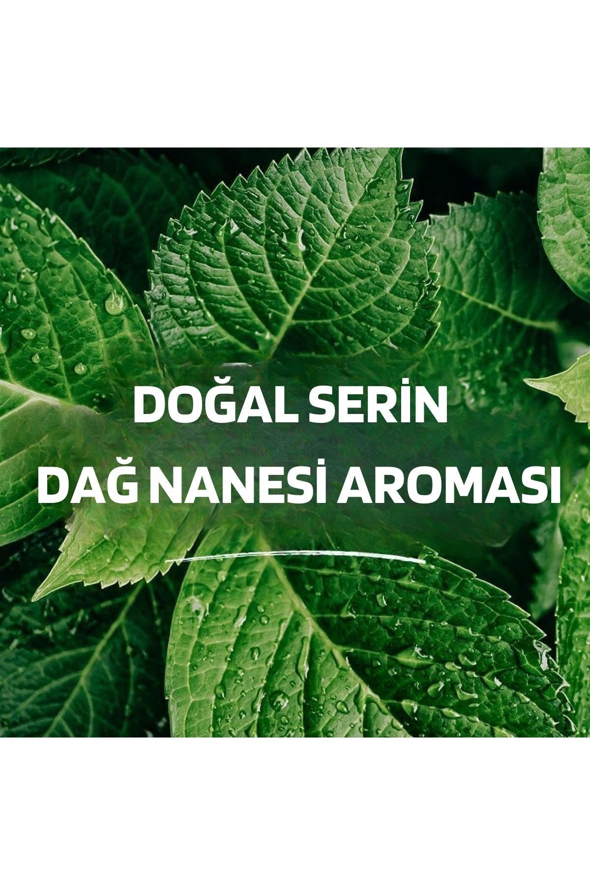 Tom's Of Maine Cool Mountain Mint Wicked Fresh! Serin Dağ Nanesi (Florürssüz, Alkolsüz, Vegan, Glütensiz) 33.8 Oz 1L