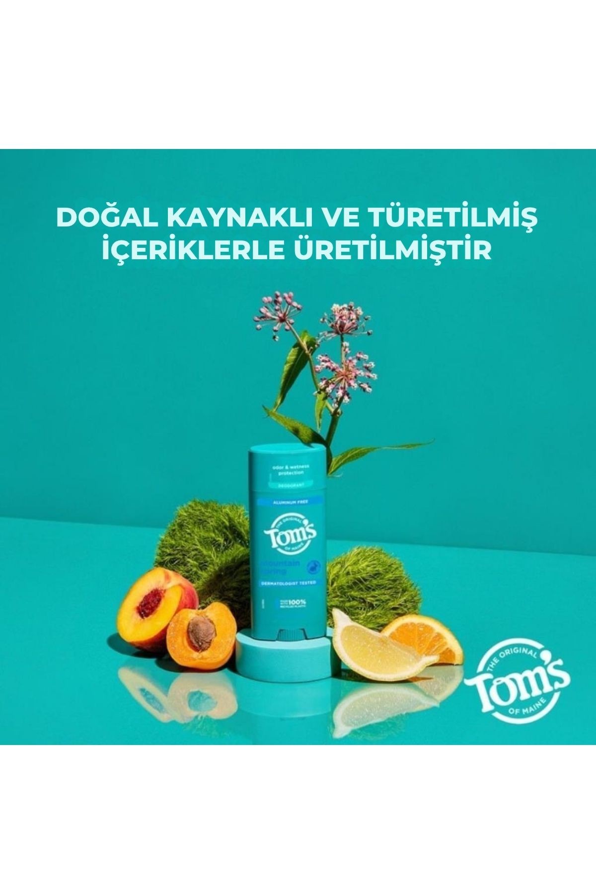 Tom's of Maine Mountain Spring Dağ Baharı Deo Stick 92 gr 