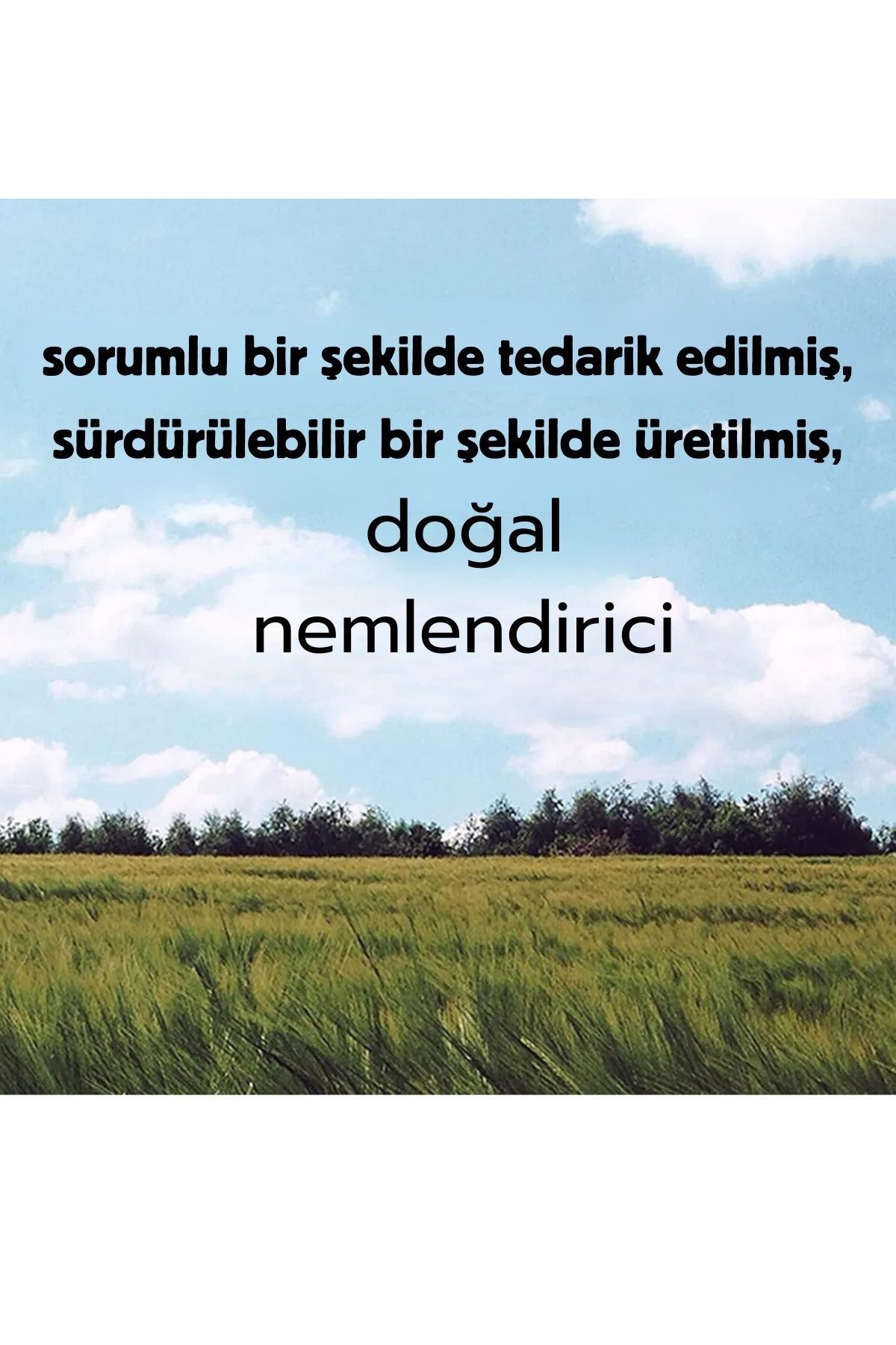 Burt's Bees Pembe Greyfurt (%100 Doğal) Dudak bakım kremi 0.15 0z 4.25g